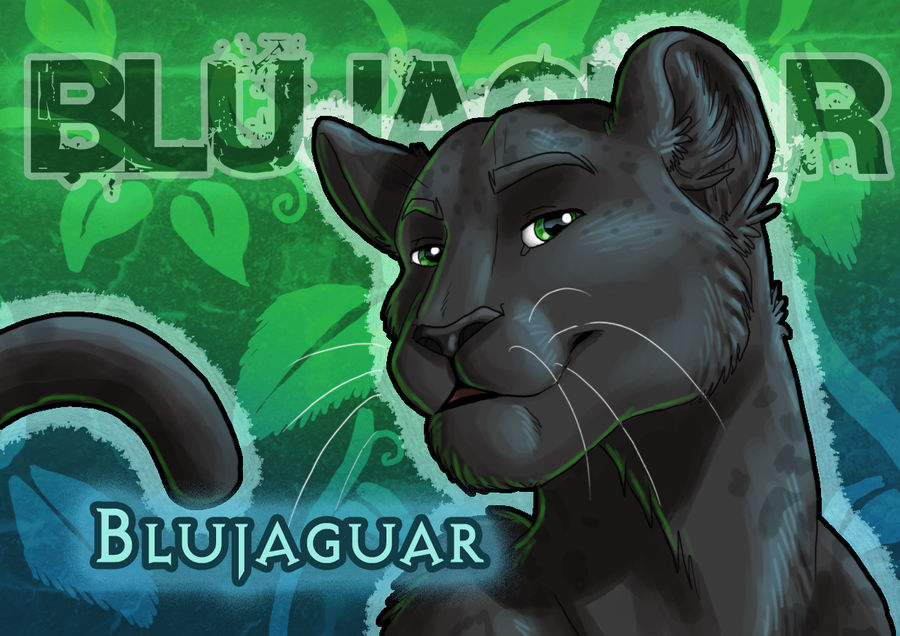 user avatar image for BluJaguar