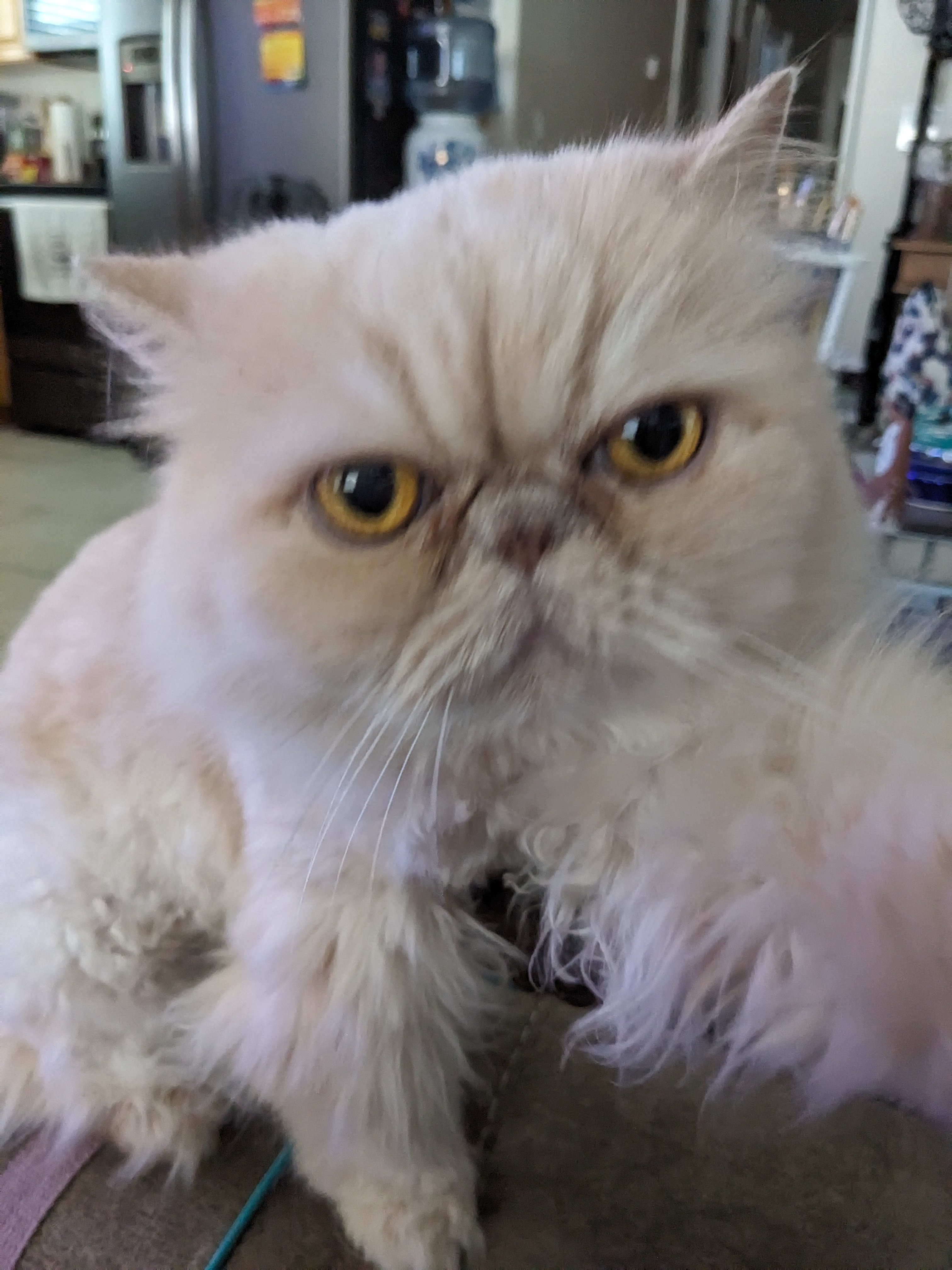 user avatar image for Lynnette Stott