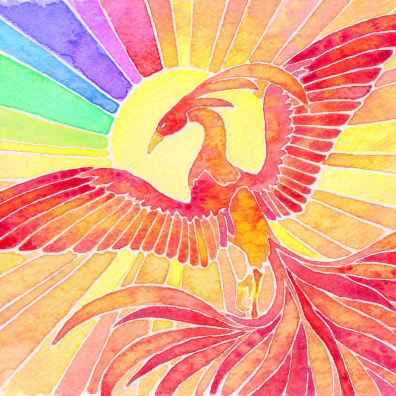 user avatar image for ayan