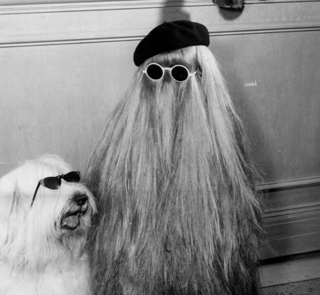 user avatar image for Jamie