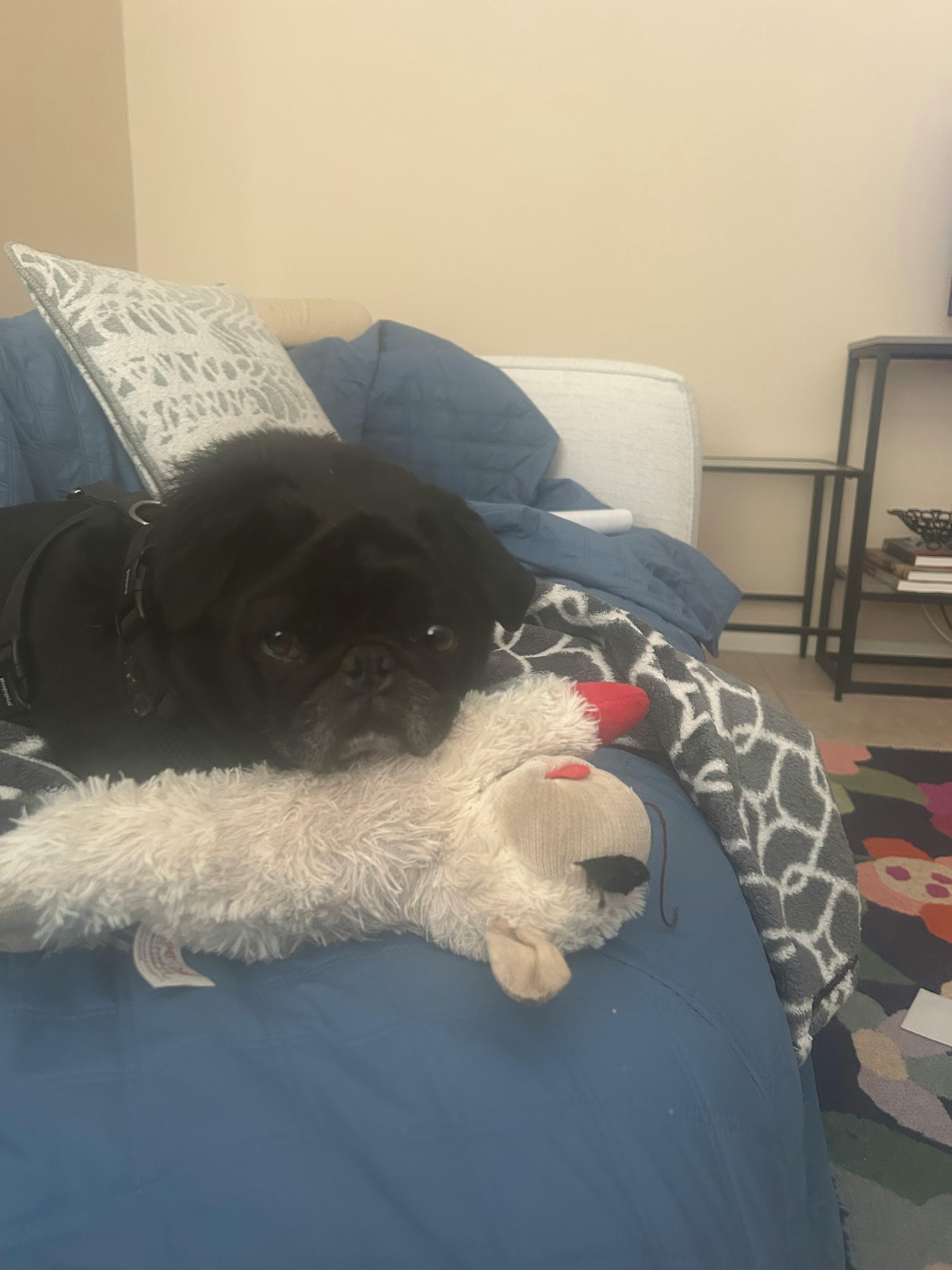 user avatar image for MTess