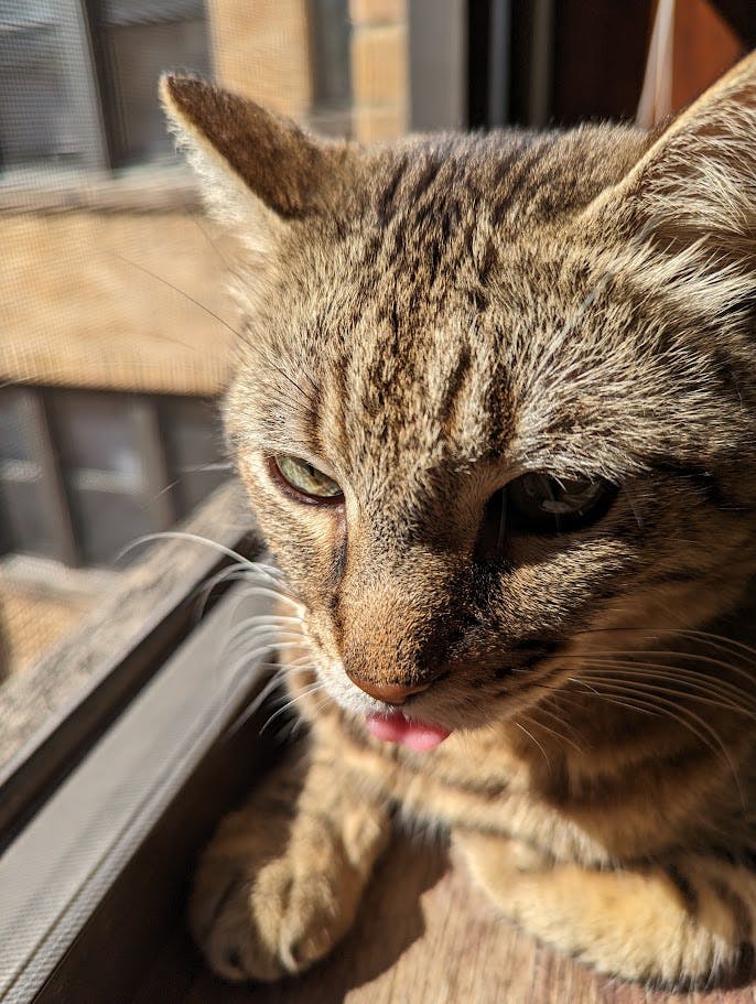 user avatar image for Tara