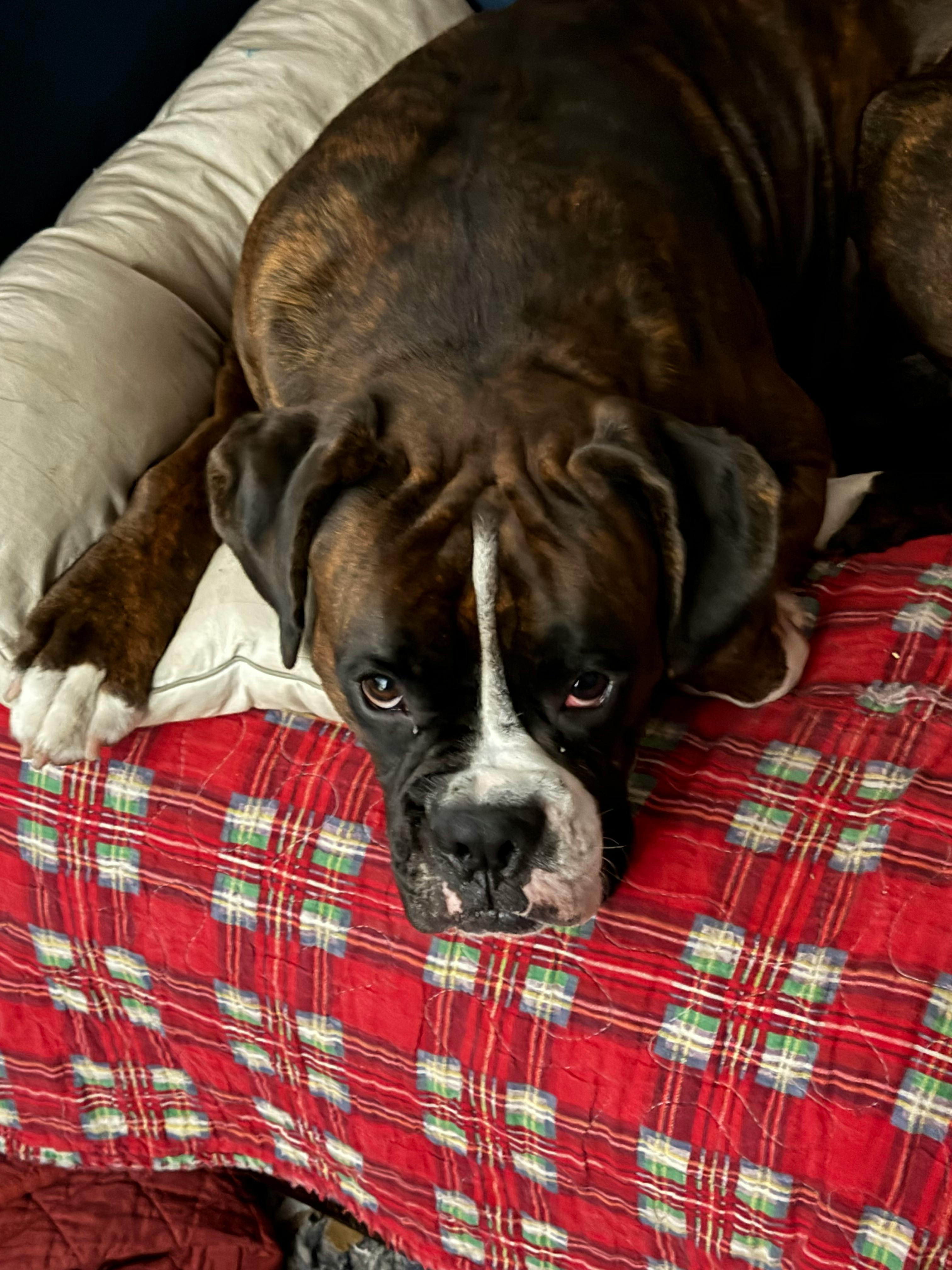 user avatar image for Bailee