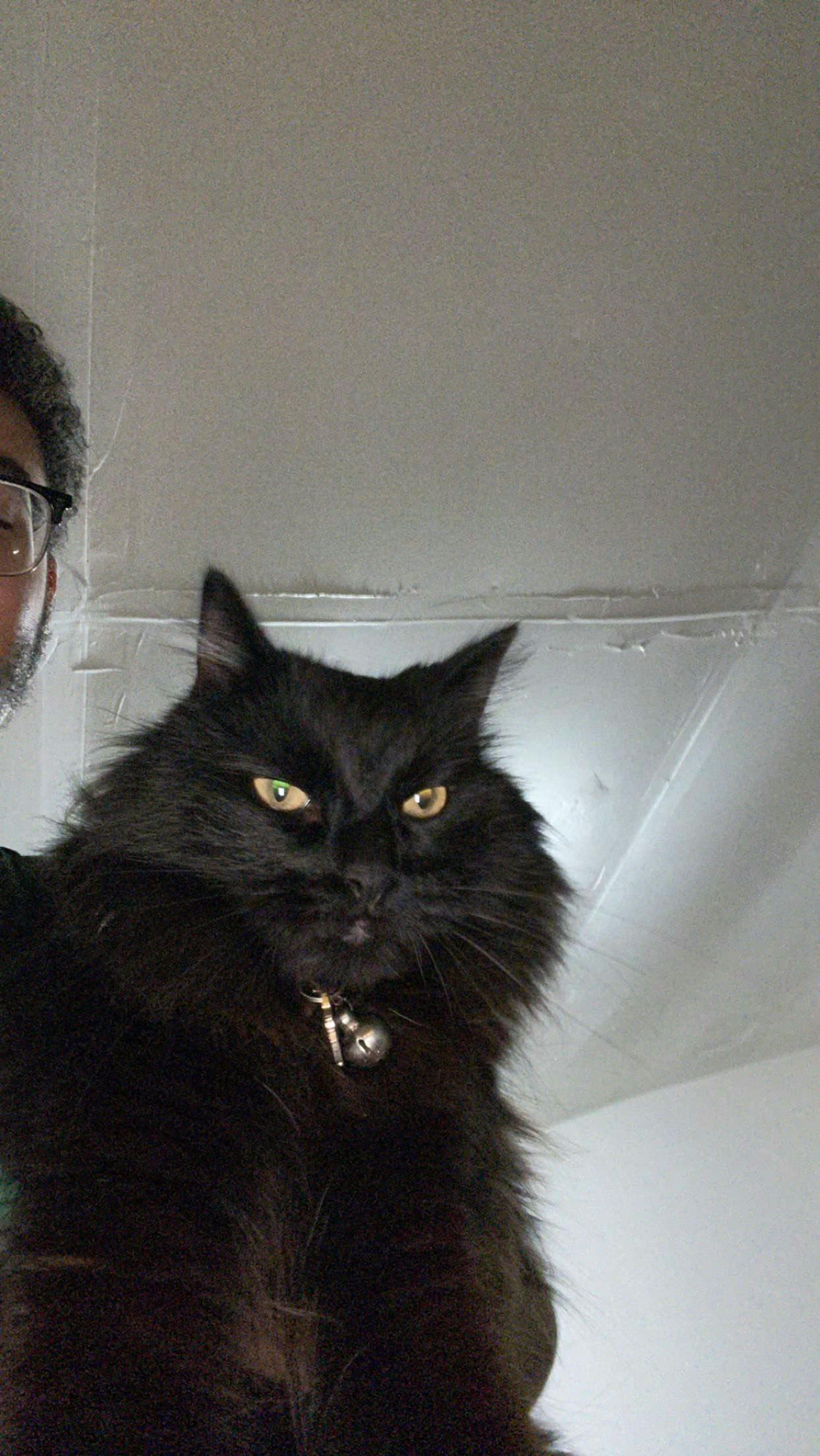 user avatar image for Gigi