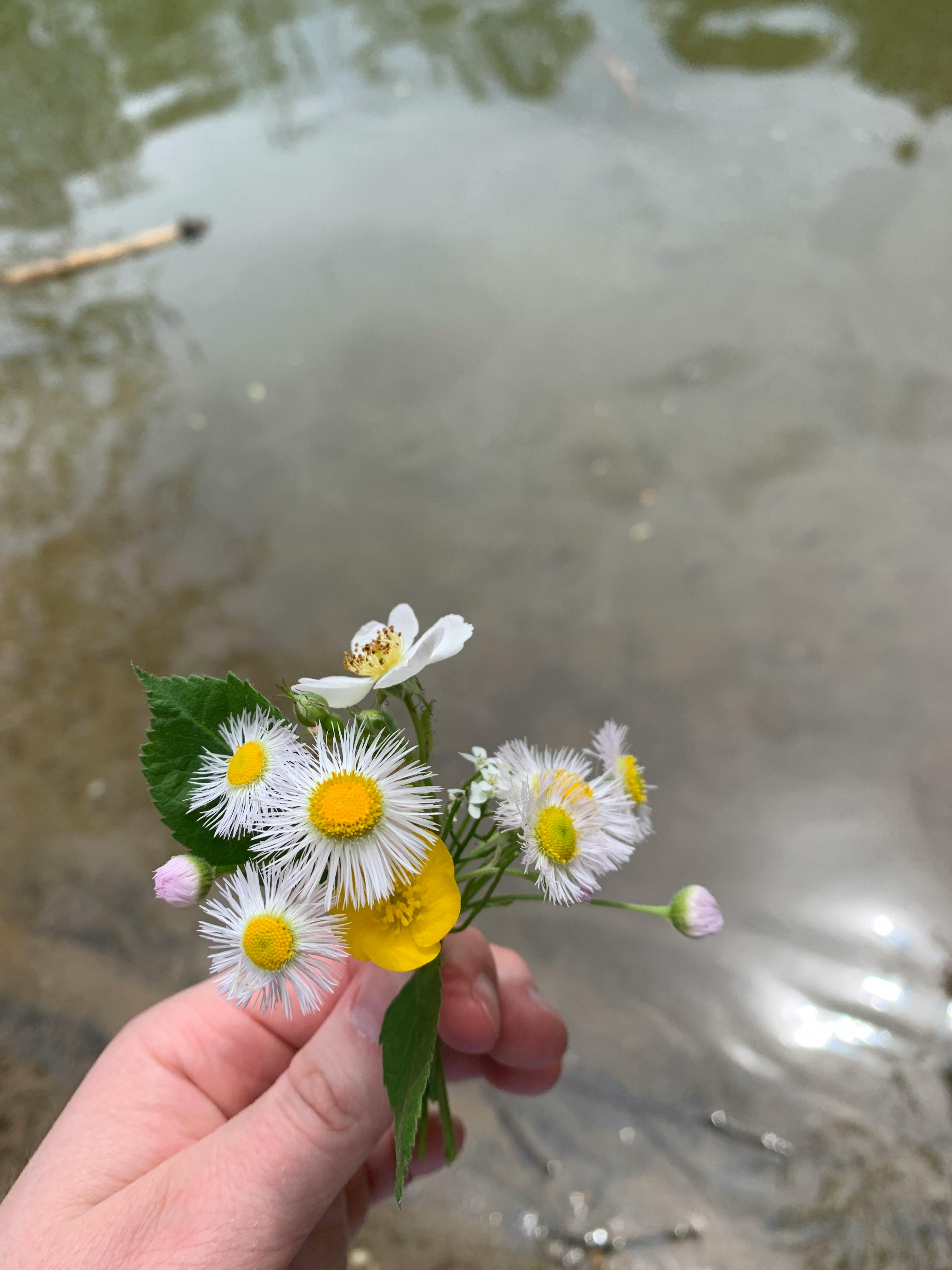 user avatar image for Spencer Mitchell