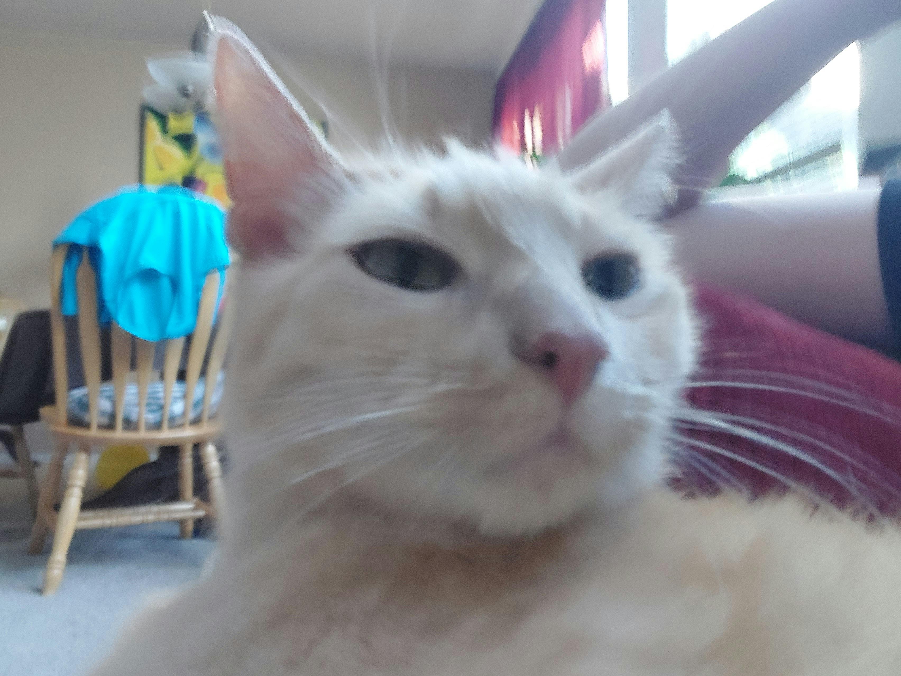 user avatar image for Clara