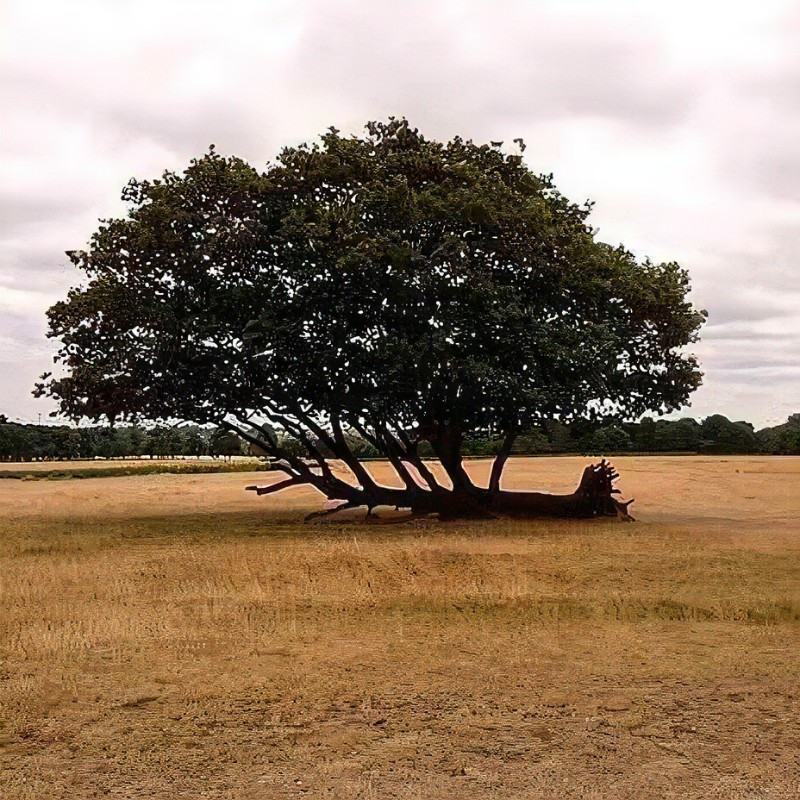 user avatar image for Jeffrey Drongowski