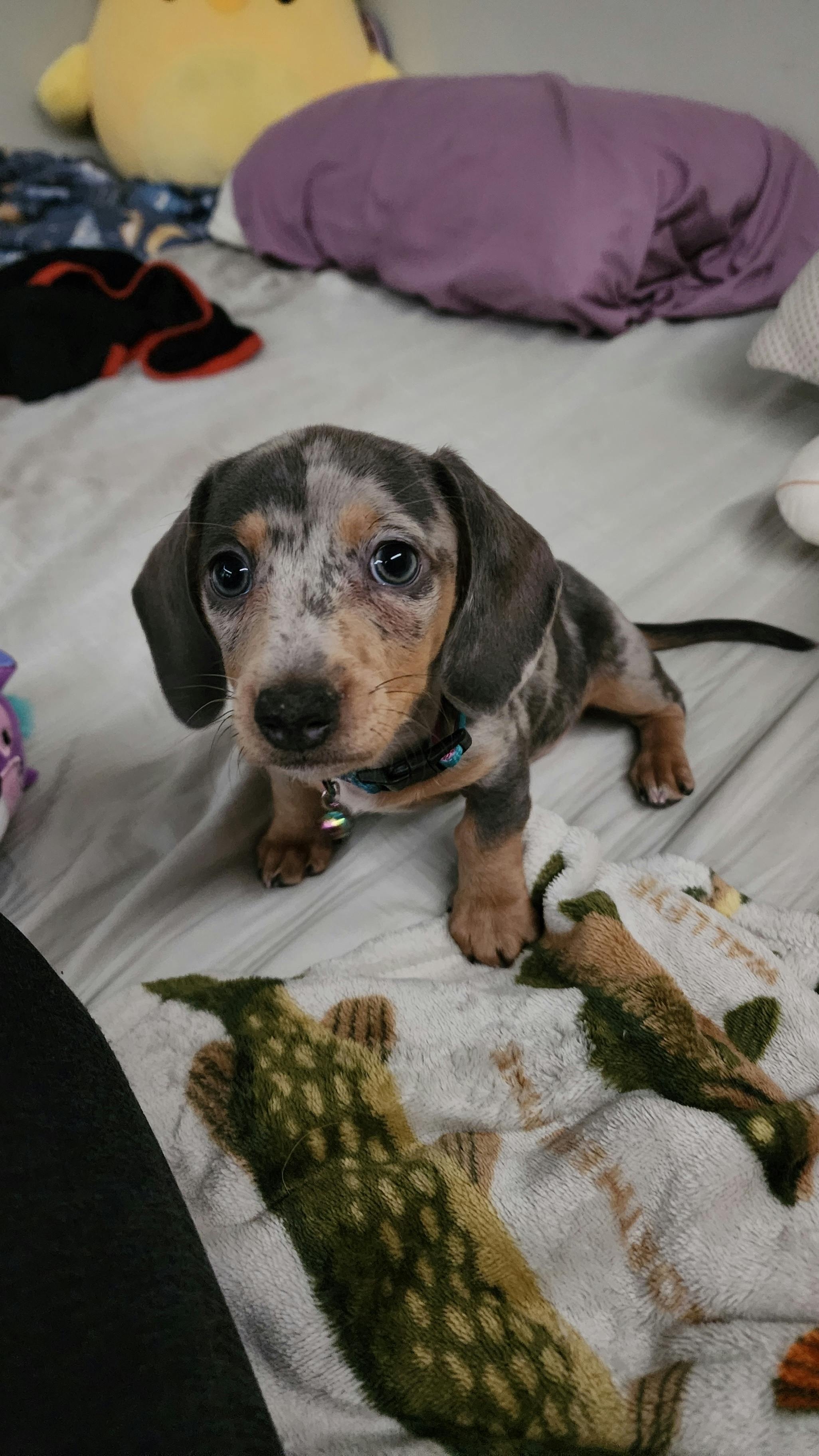 user avatar image for Lilli wickizer