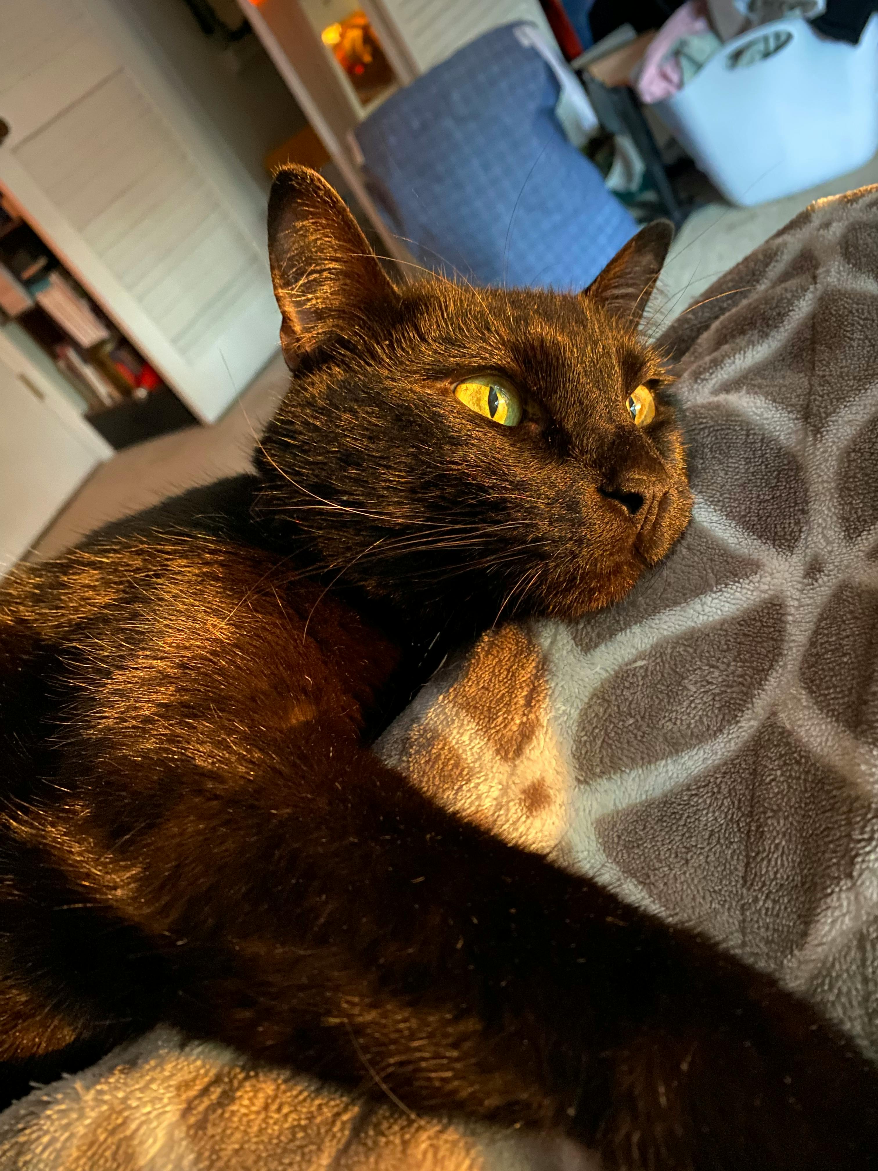 user avatar image for Kat L.