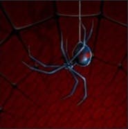 user avatar image for Romain Leteneur