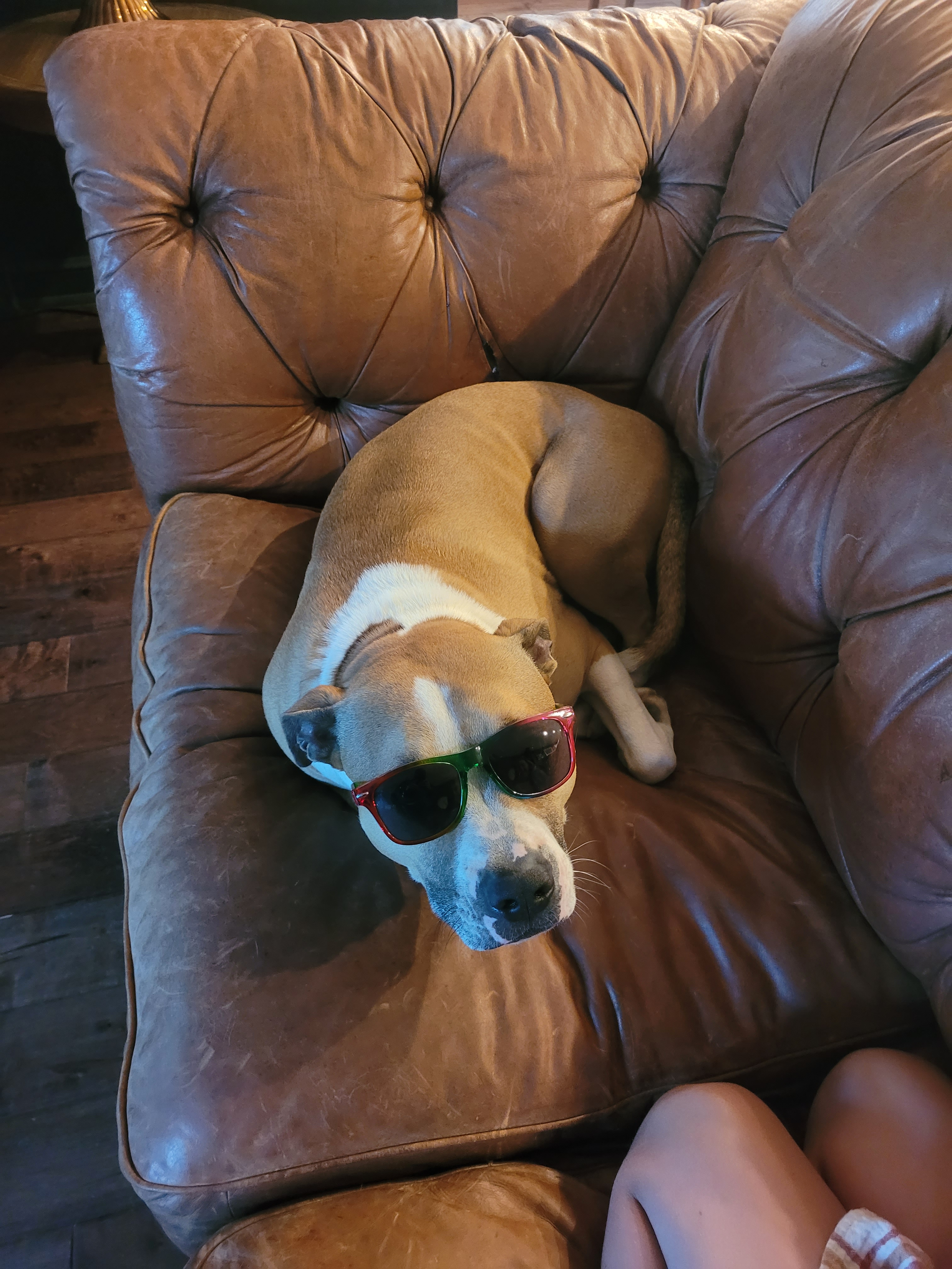 user avatar image for Stephen S.