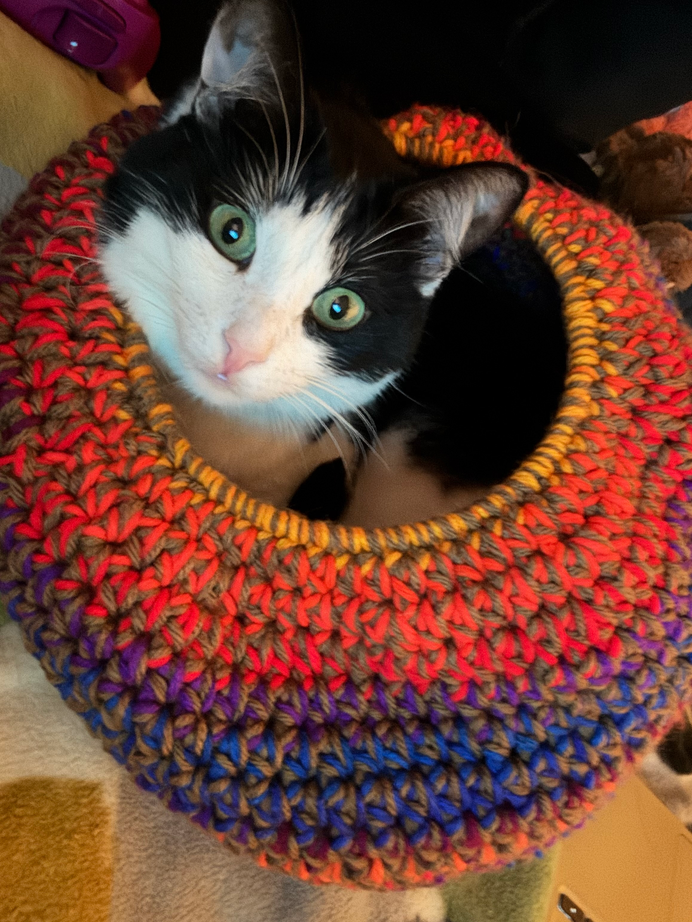 user avatar image for midnight_moth