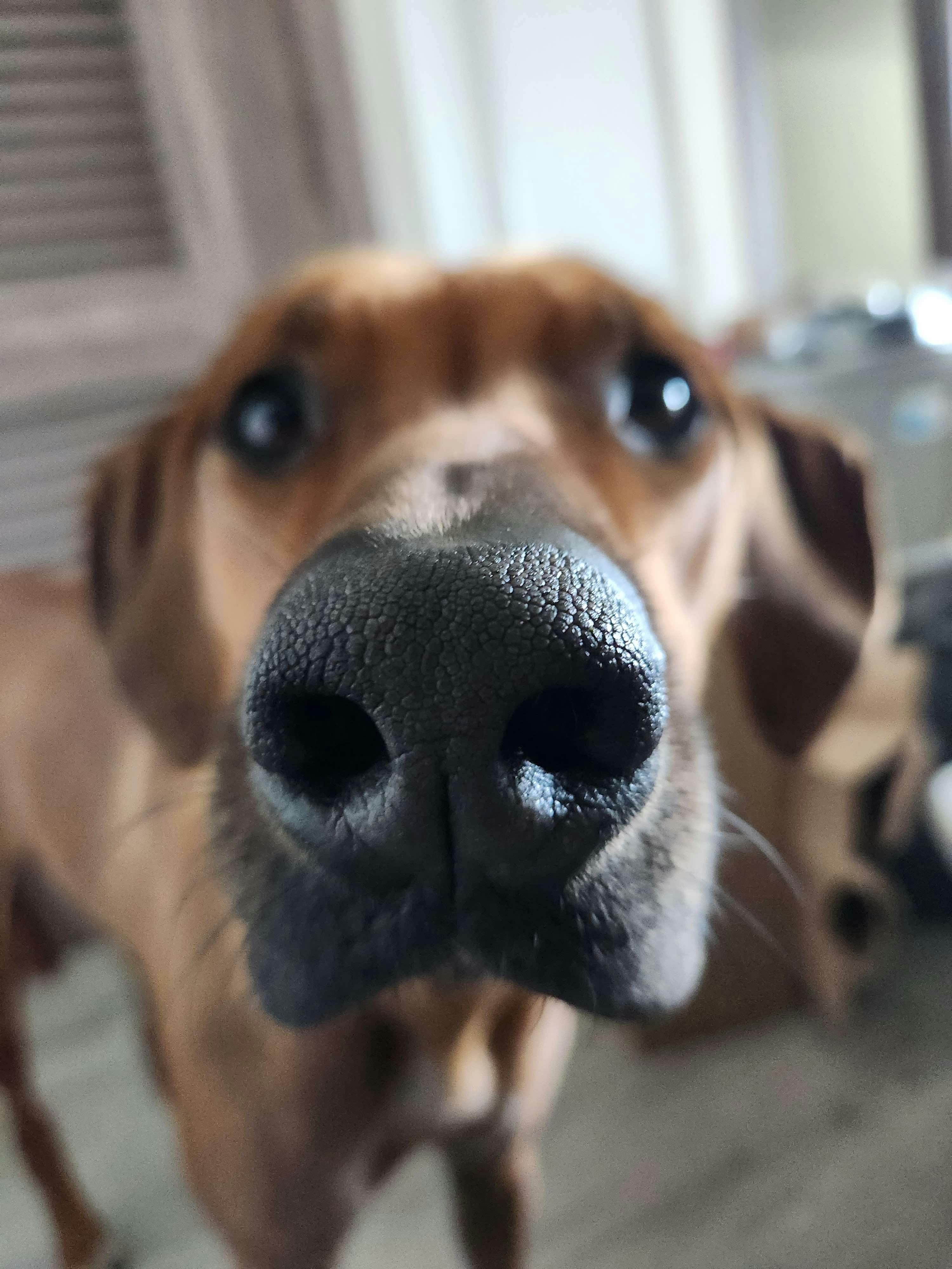 user avatar image for Kat Egan