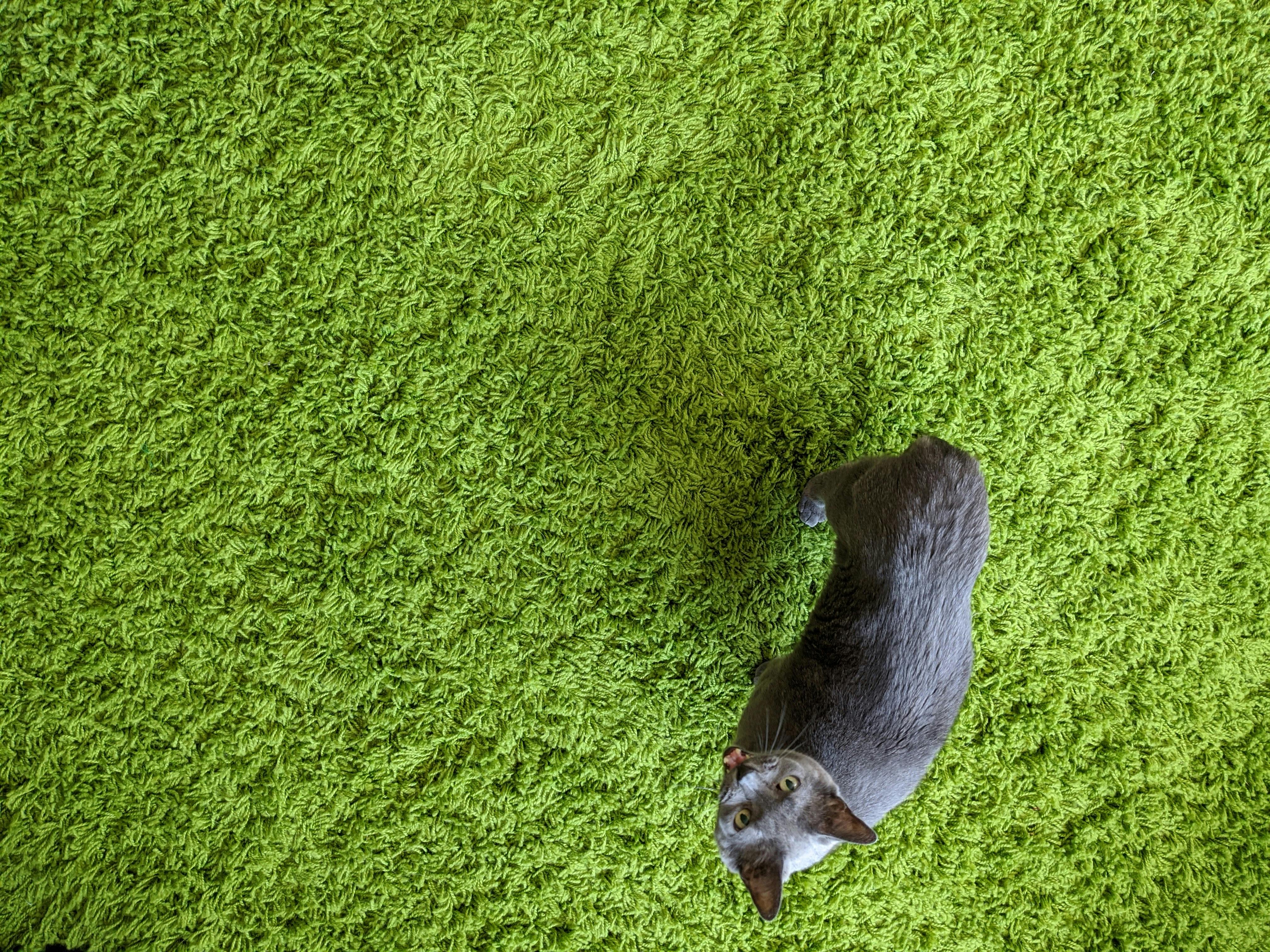 user avatar image for Anna B