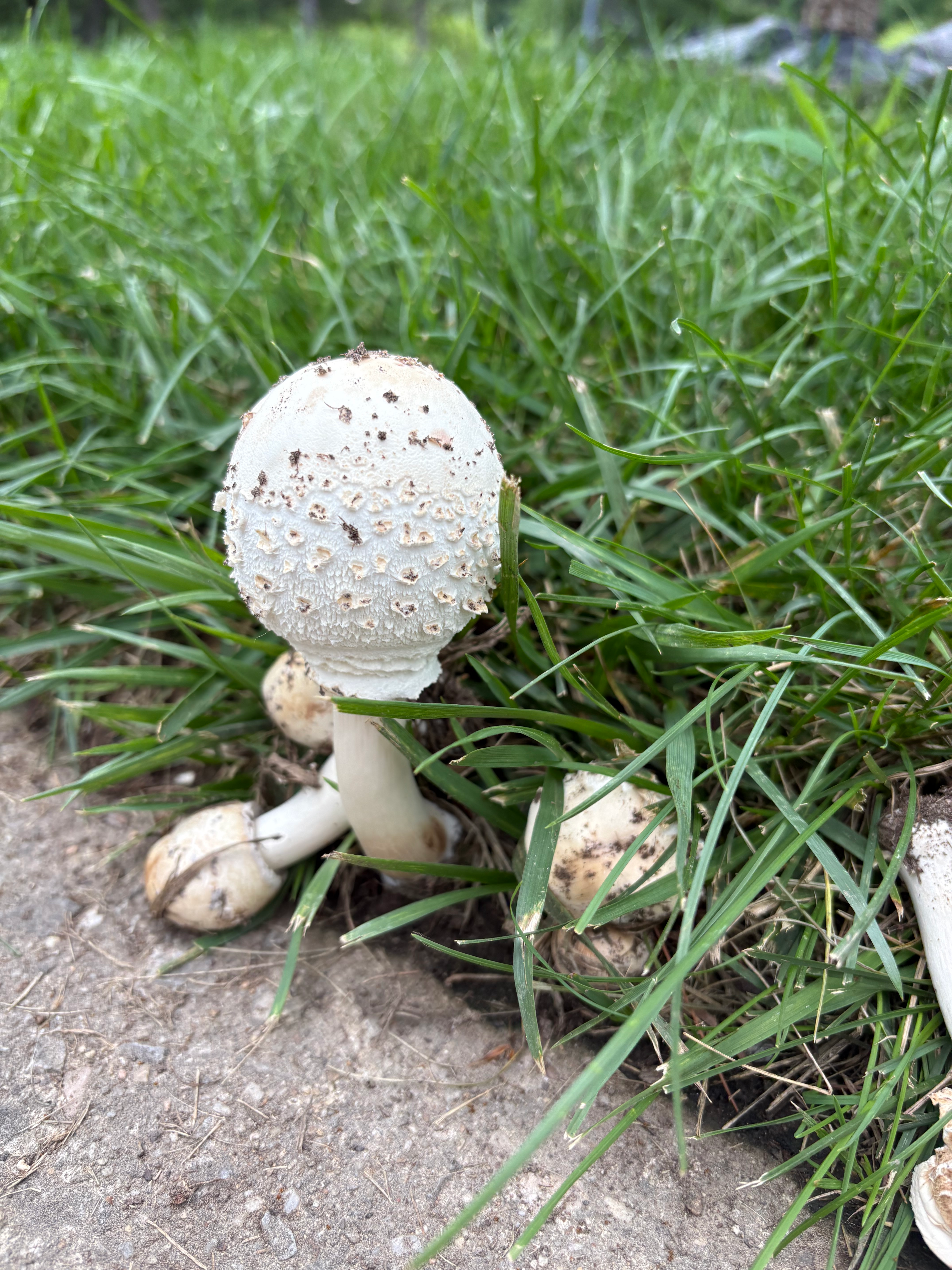 user avatar image for Katie