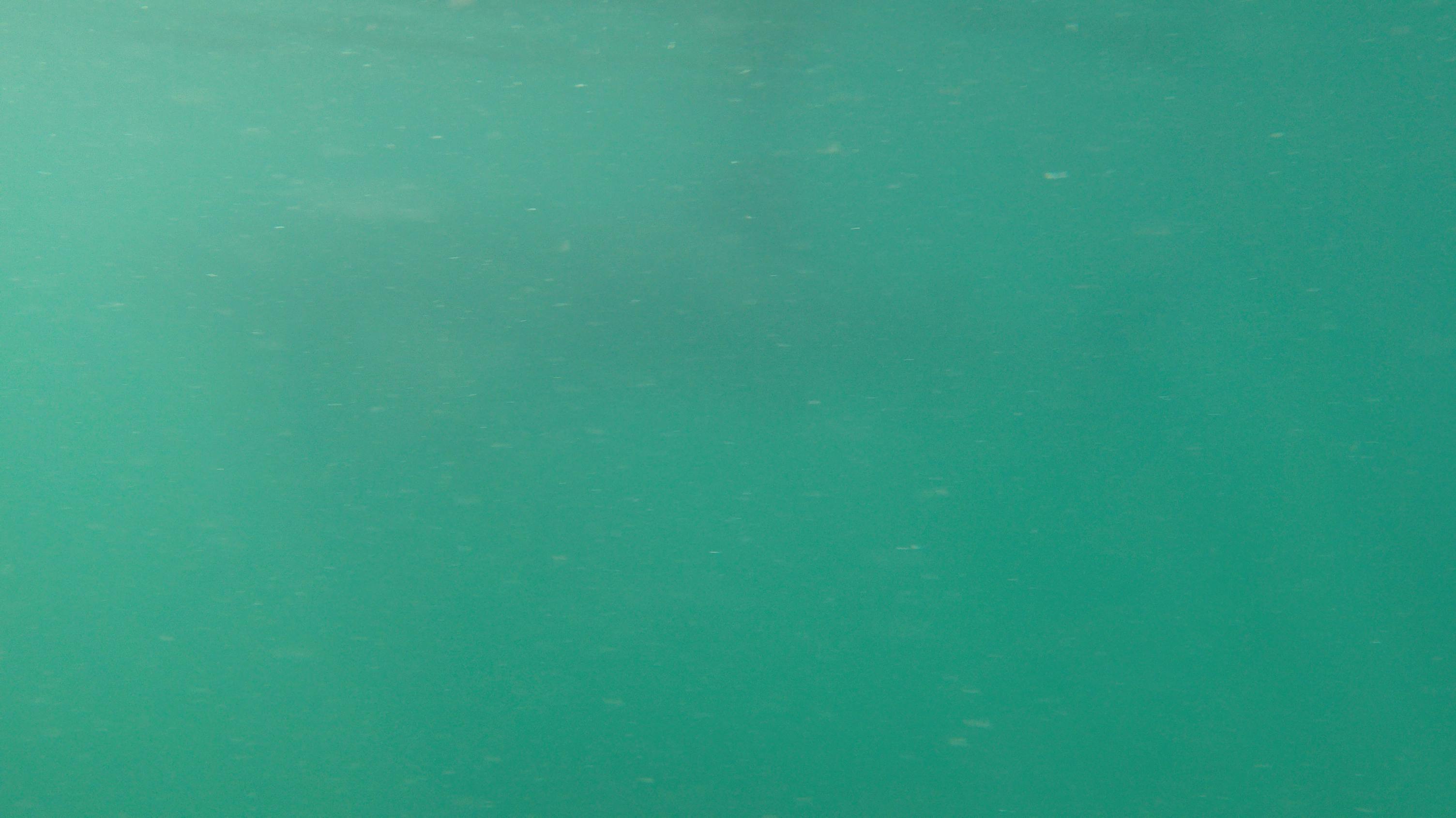 user avatar image for GrandmaMosbey