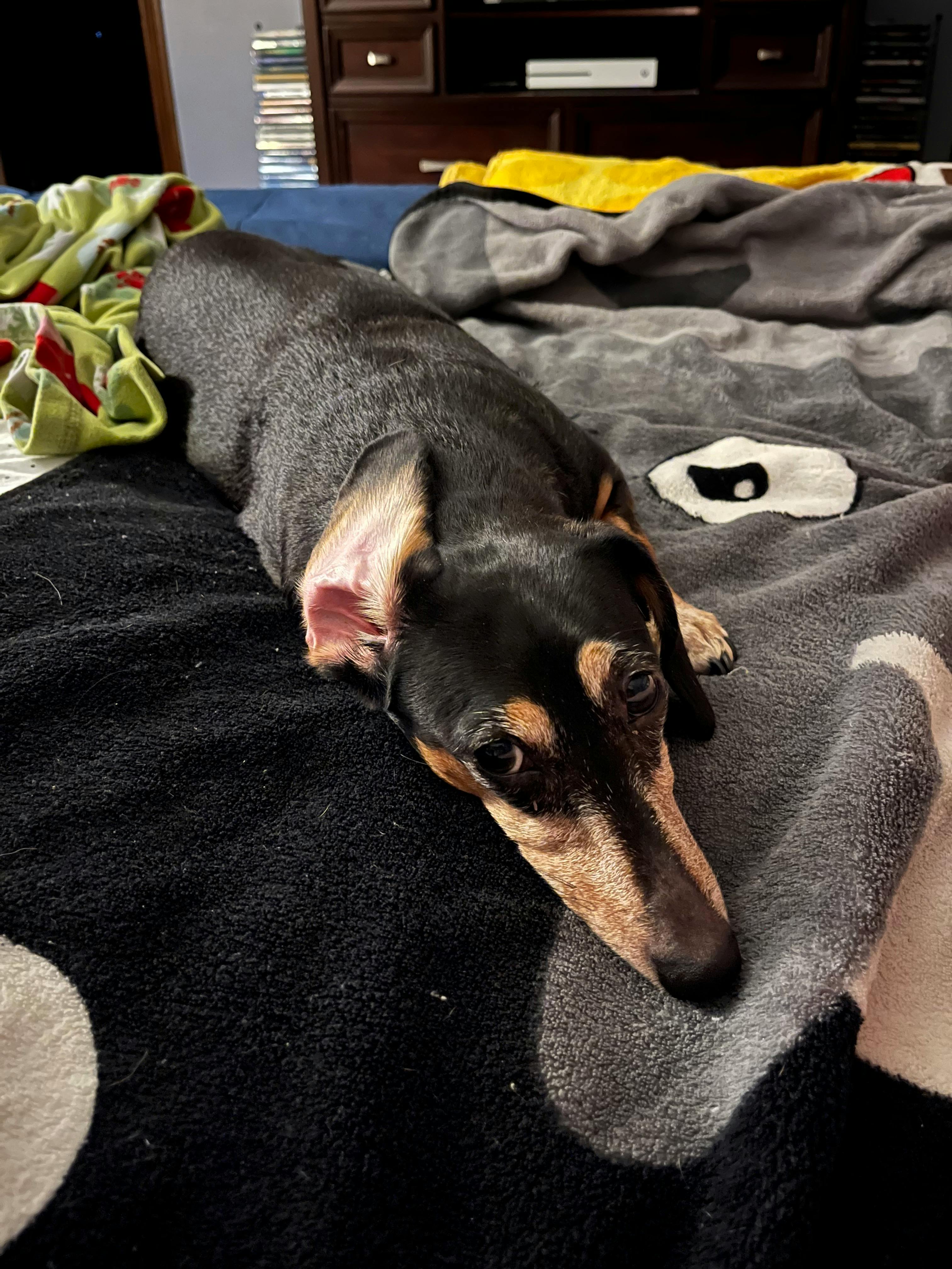 user avatar image for Mary