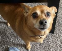 user avatar image for Hound740