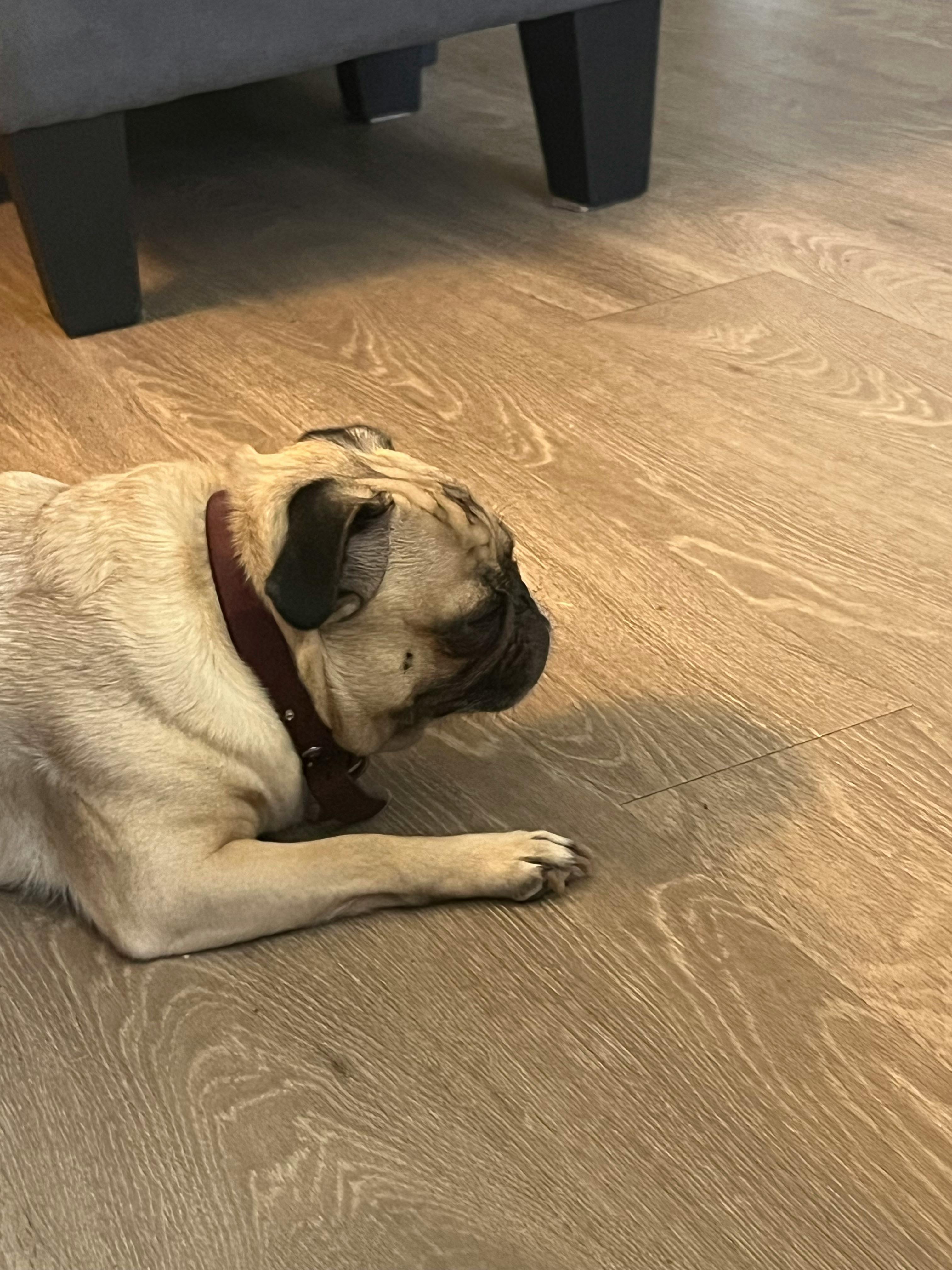 user avatar image for Christine Tarride