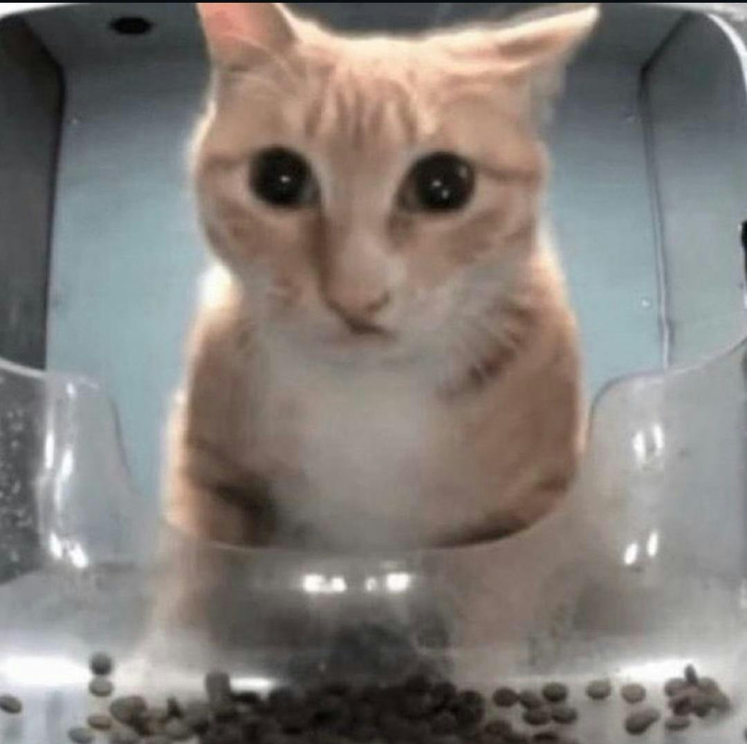 user avatar image for Brendon