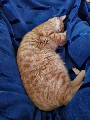 user avatar image for Daniel Krick