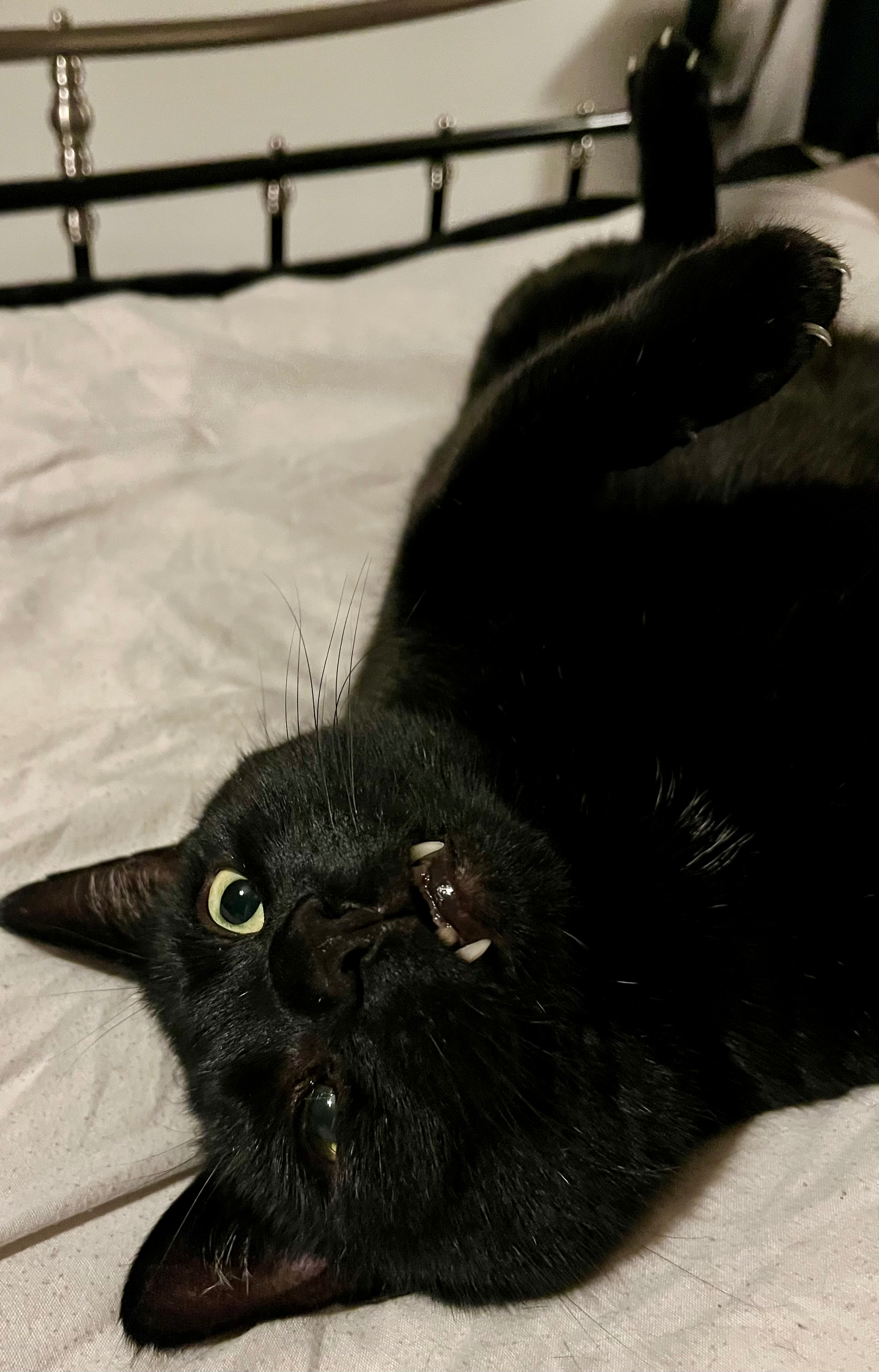 user avatar image for Kat