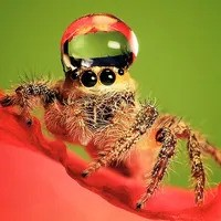 user avatar image for Emiliano Ferazzini