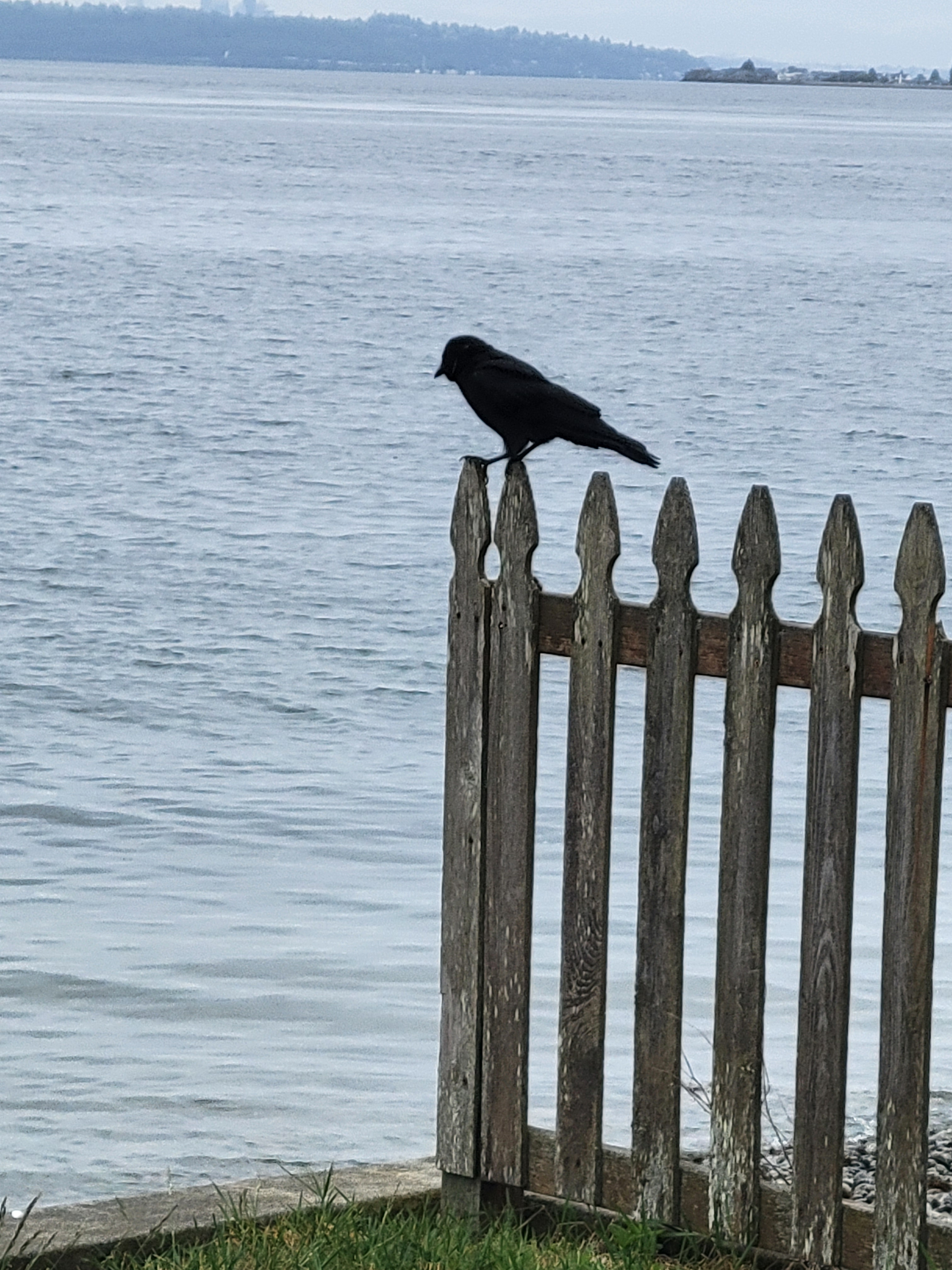 user avatar image for Sousphi