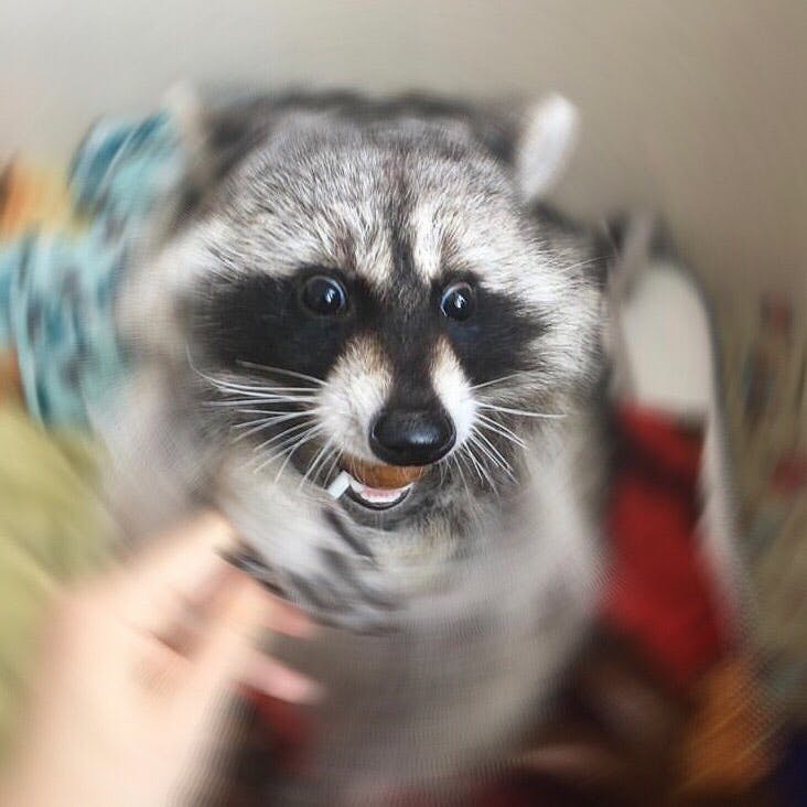 user avatar image for lindsey