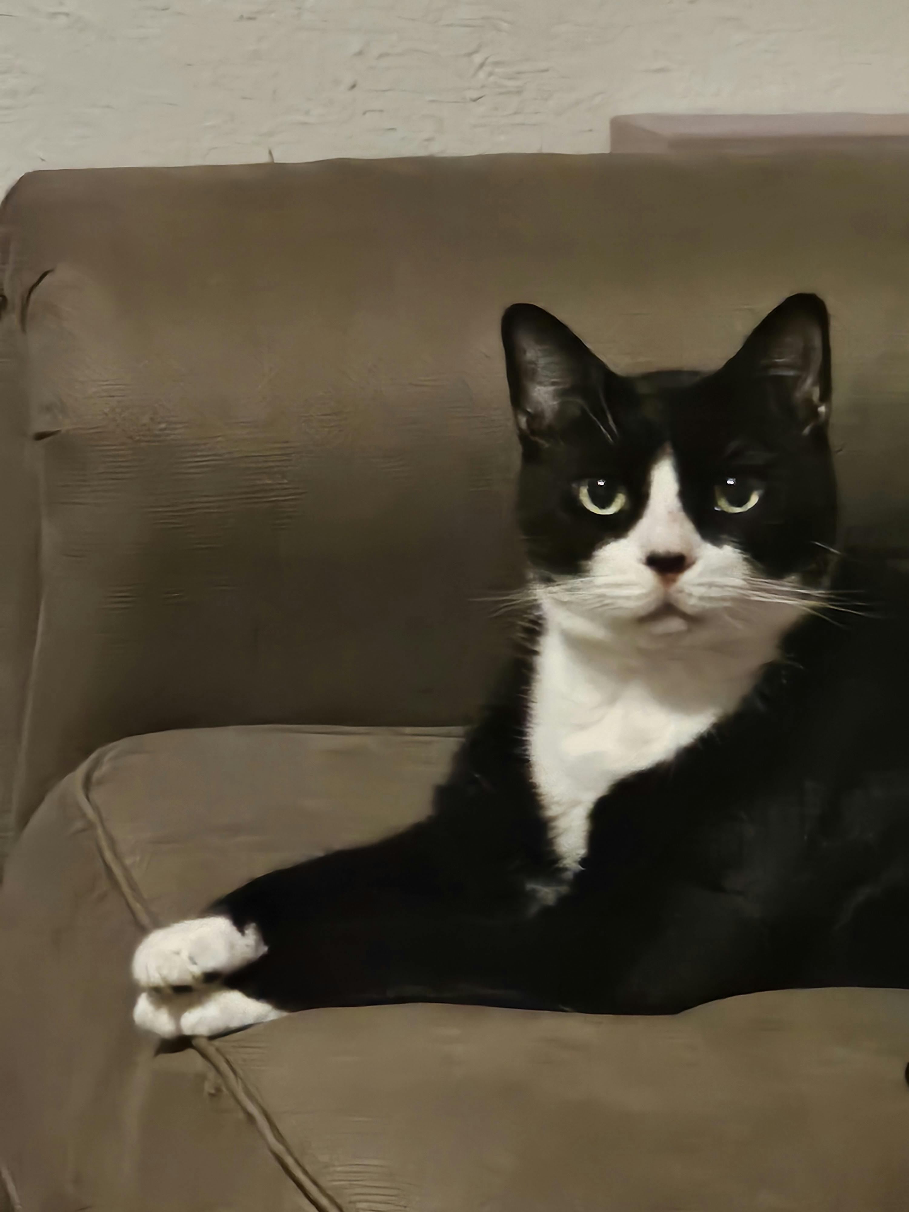 user avatar image for Christina Bethea