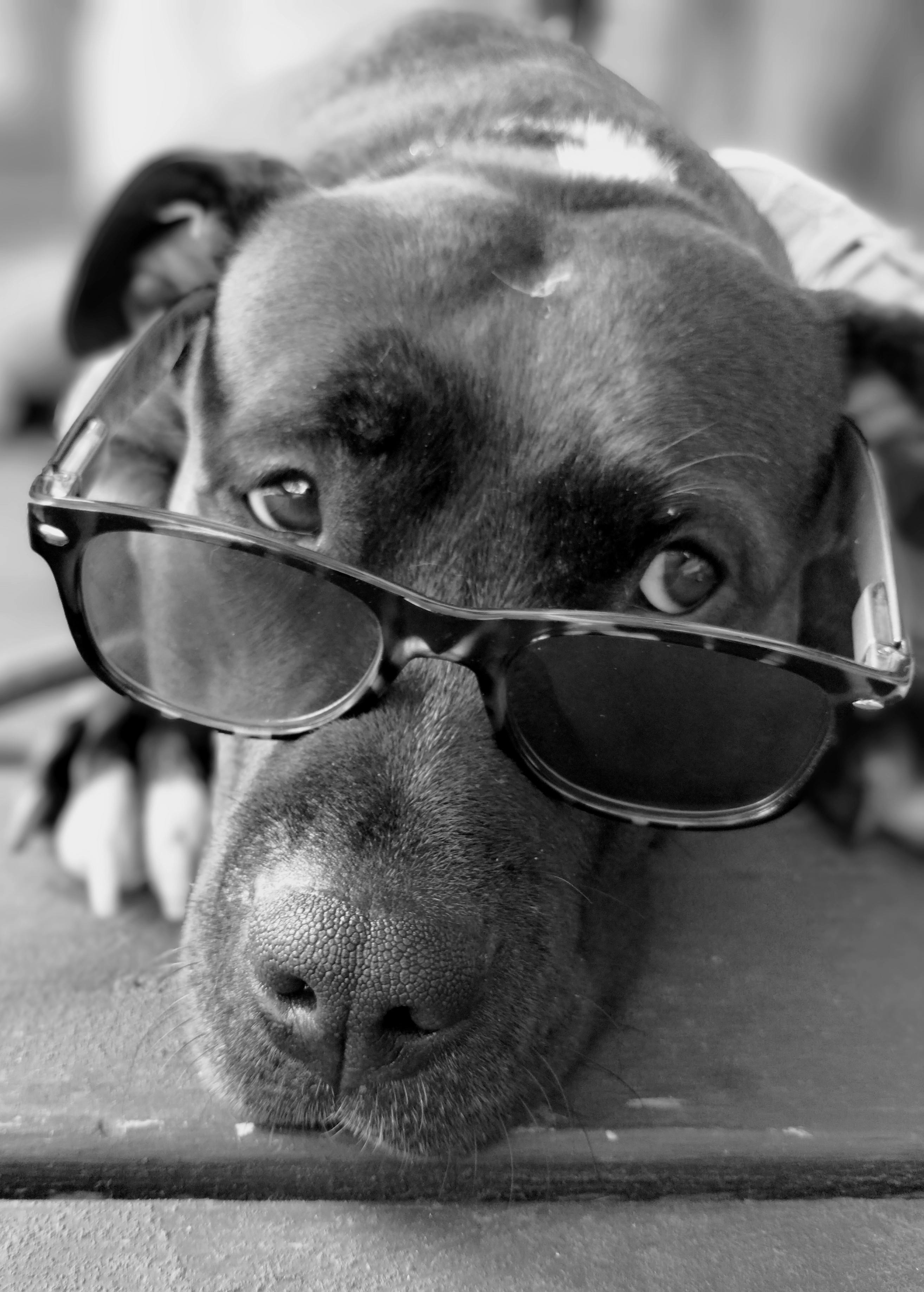 user avatar image for WendyMoira_AngelaDarling