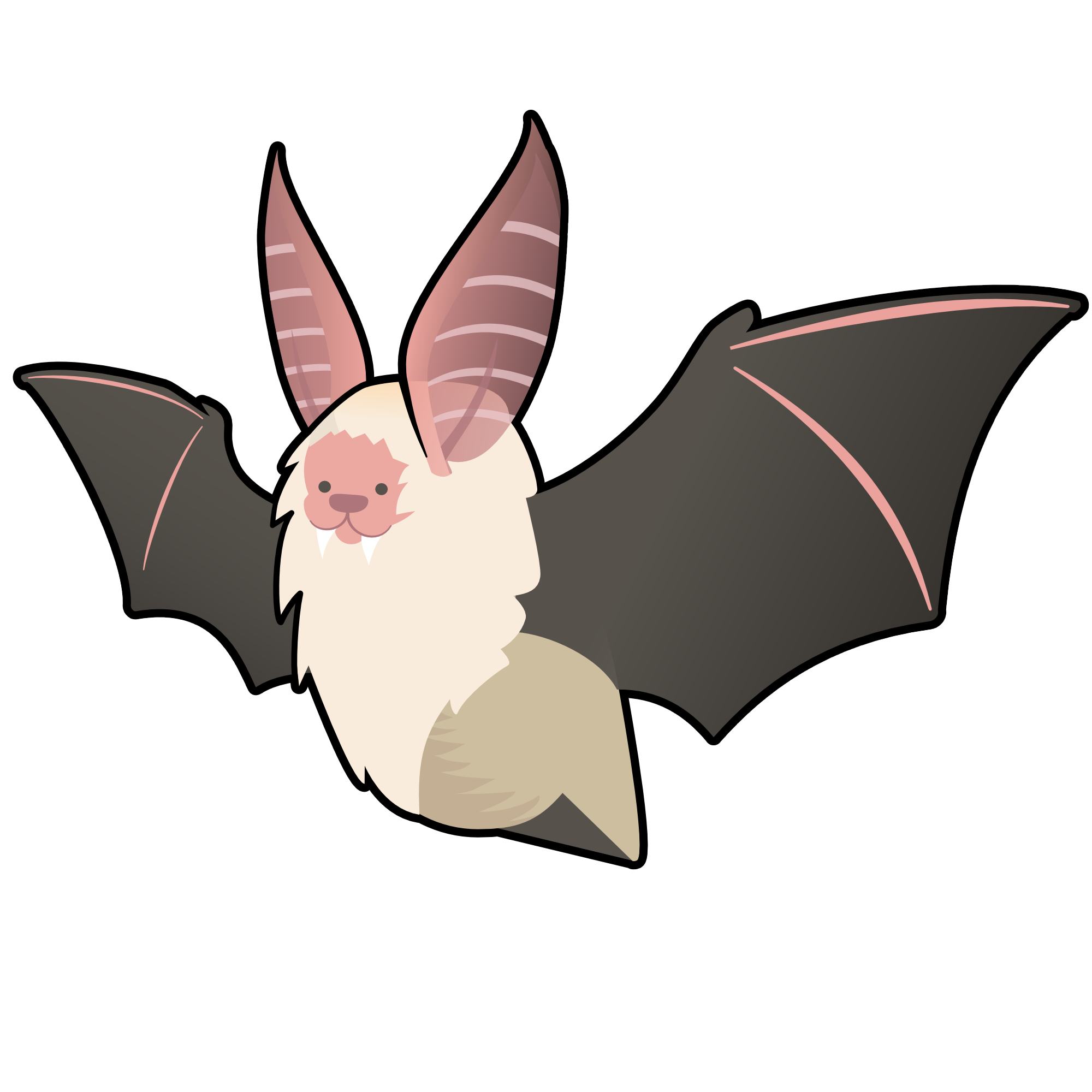 Pallid Bat
