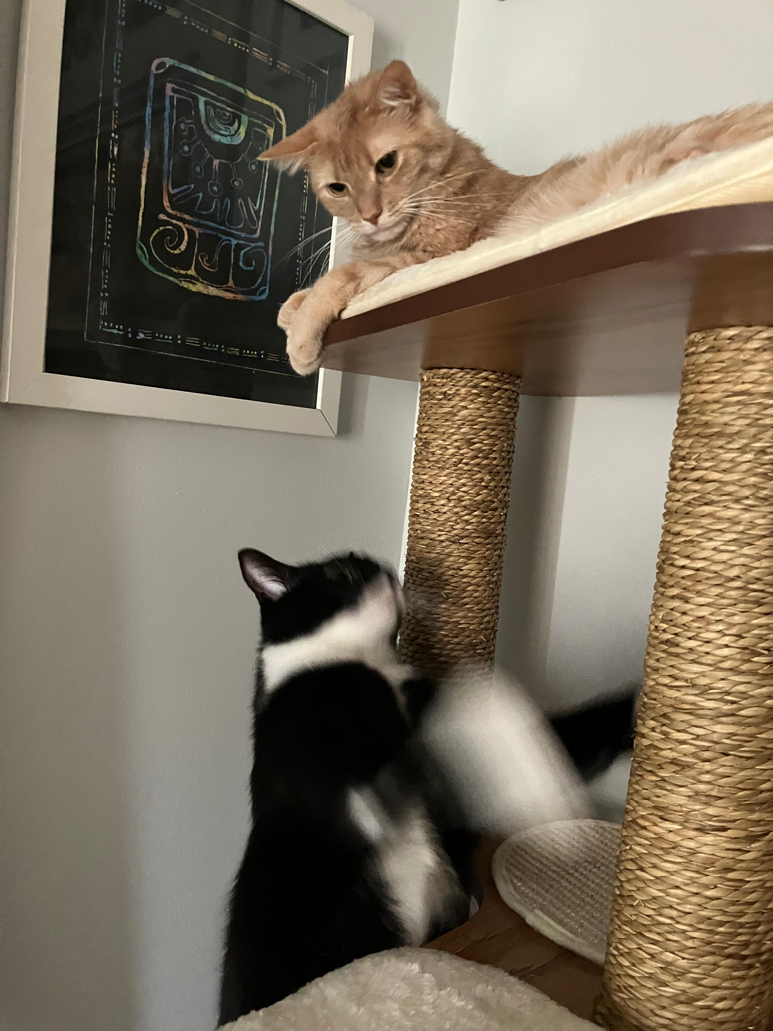 user avatar image for Cheyenne Sloan