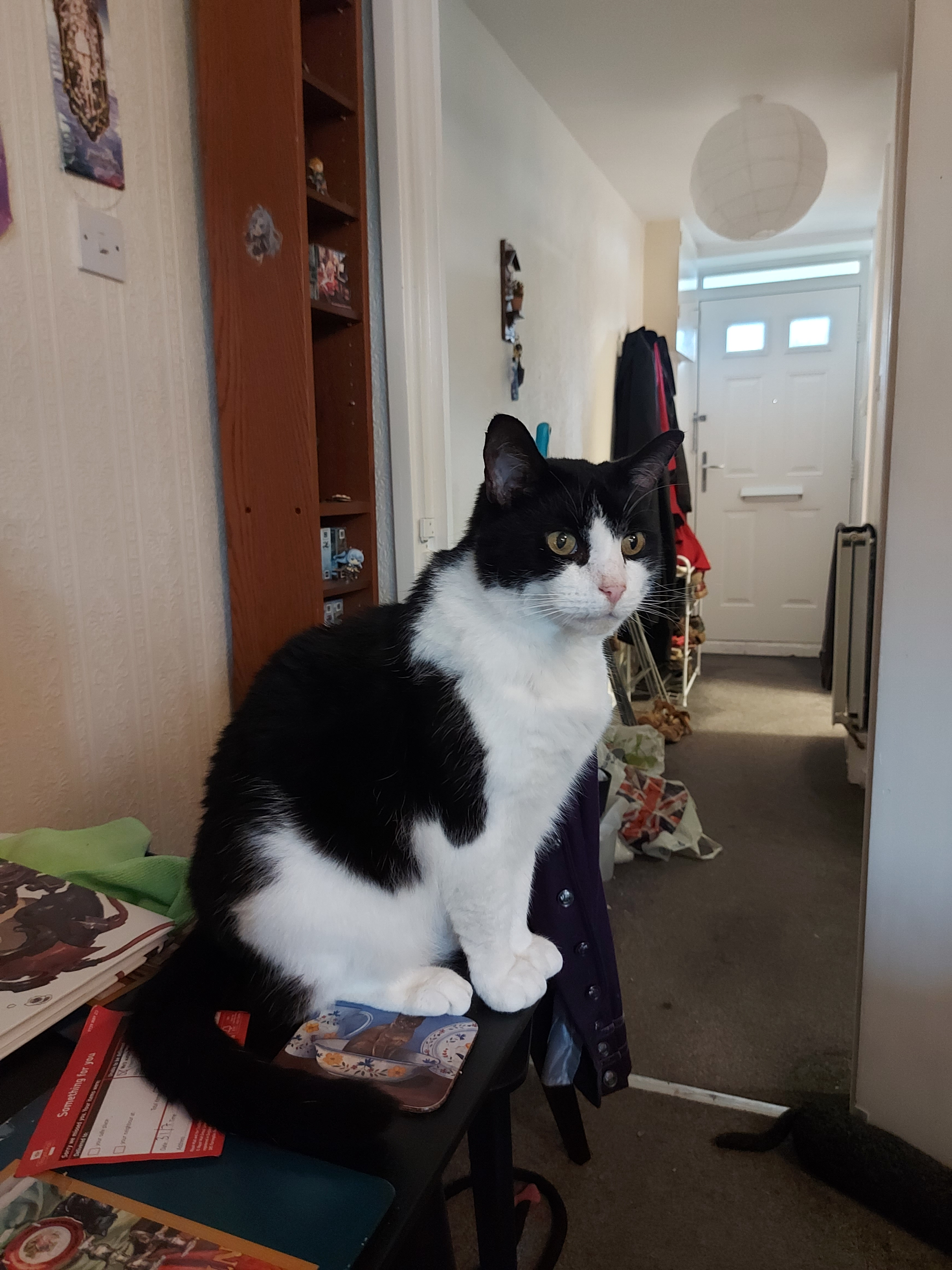 user avatar image for Doan2300 