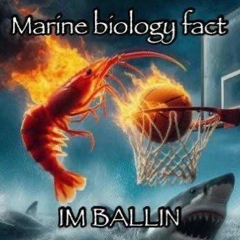 user avatar image for Ada