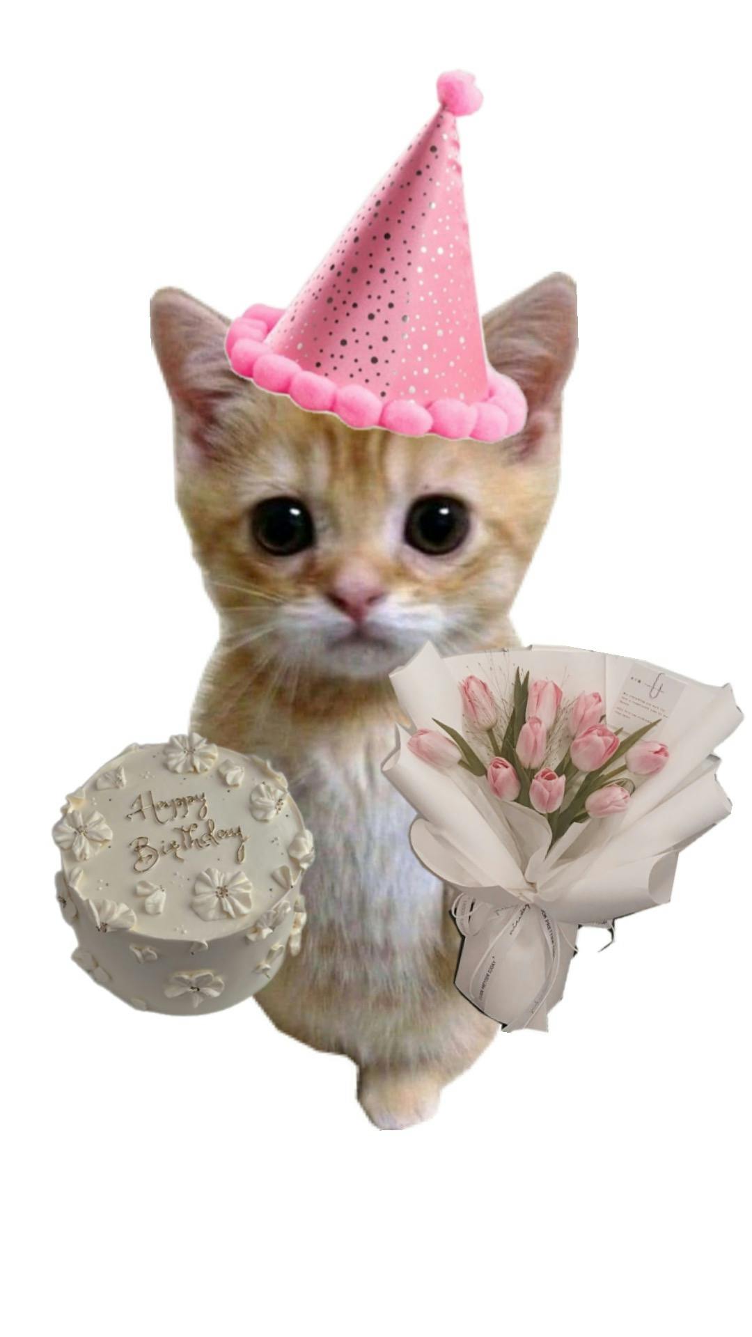 user avatar image for Nina