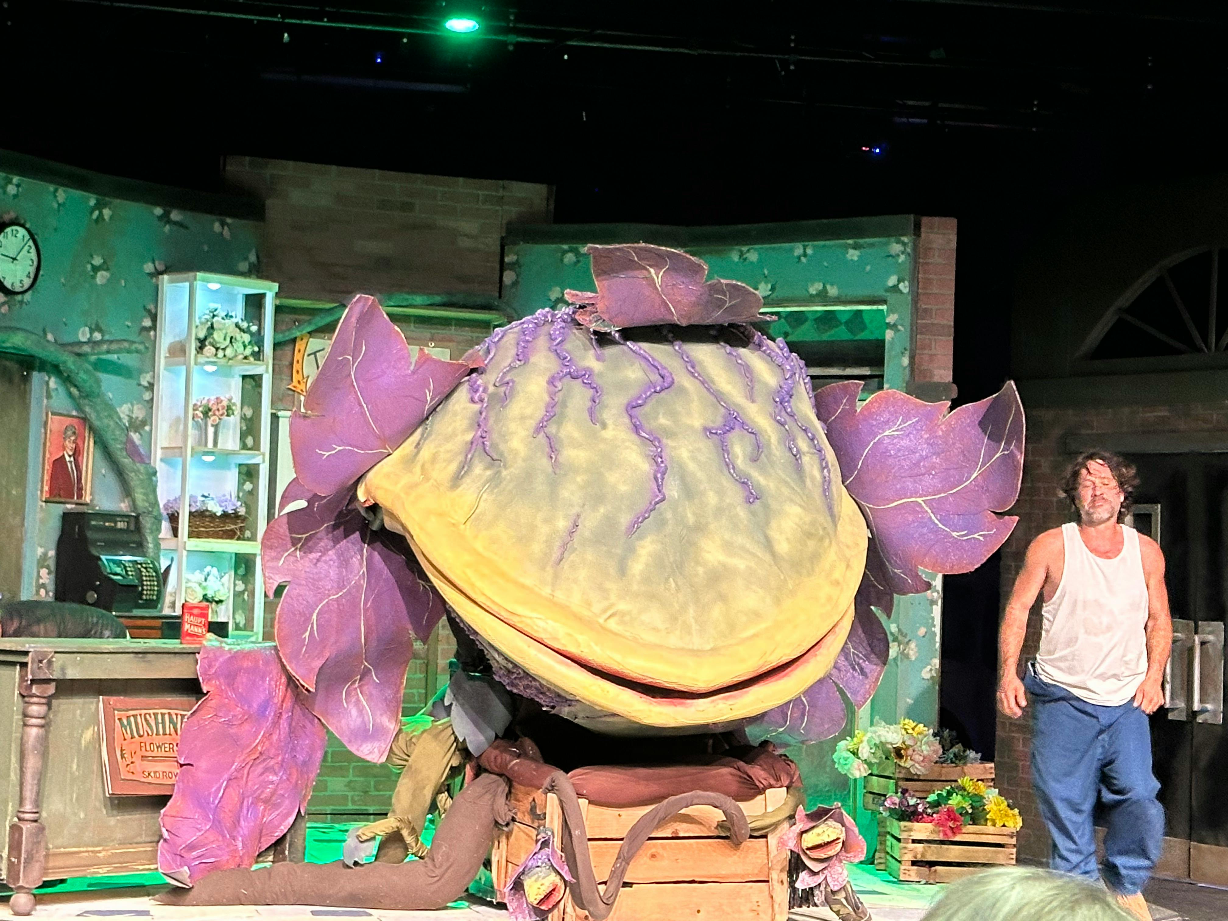 user avatar image for Melynda Marchi