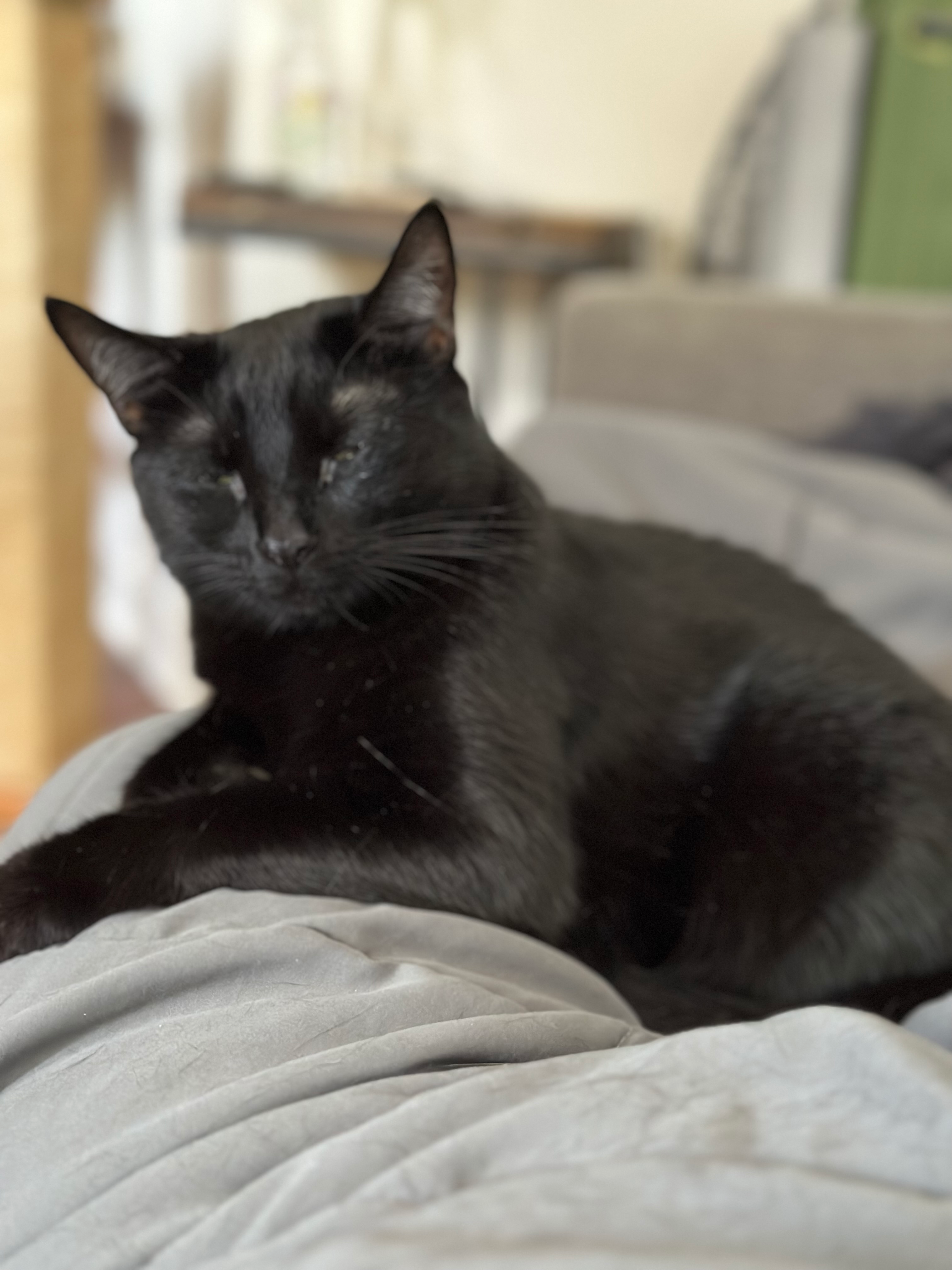 user avatar image for Mattrick 