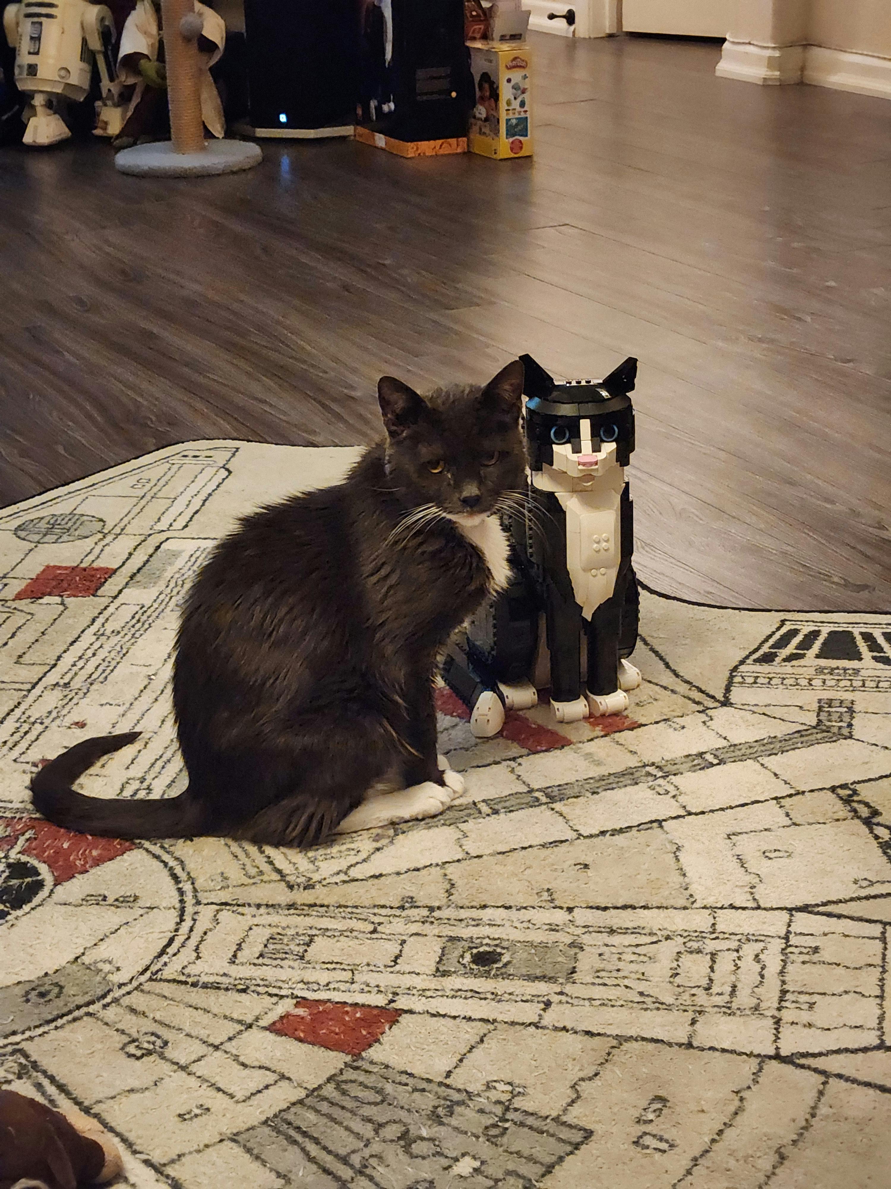 user avatar image for JediJulieB