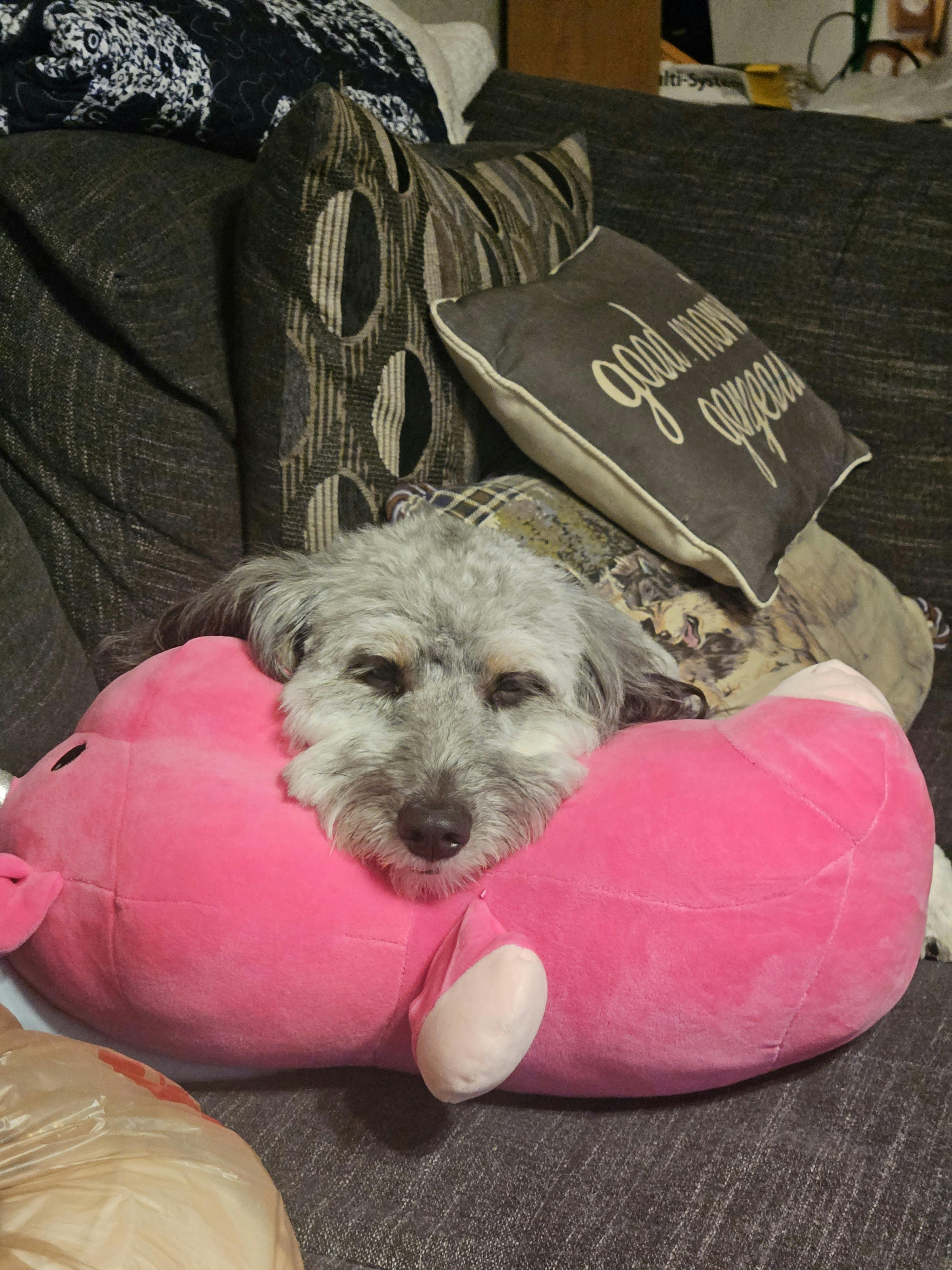 user avatar image for Bri