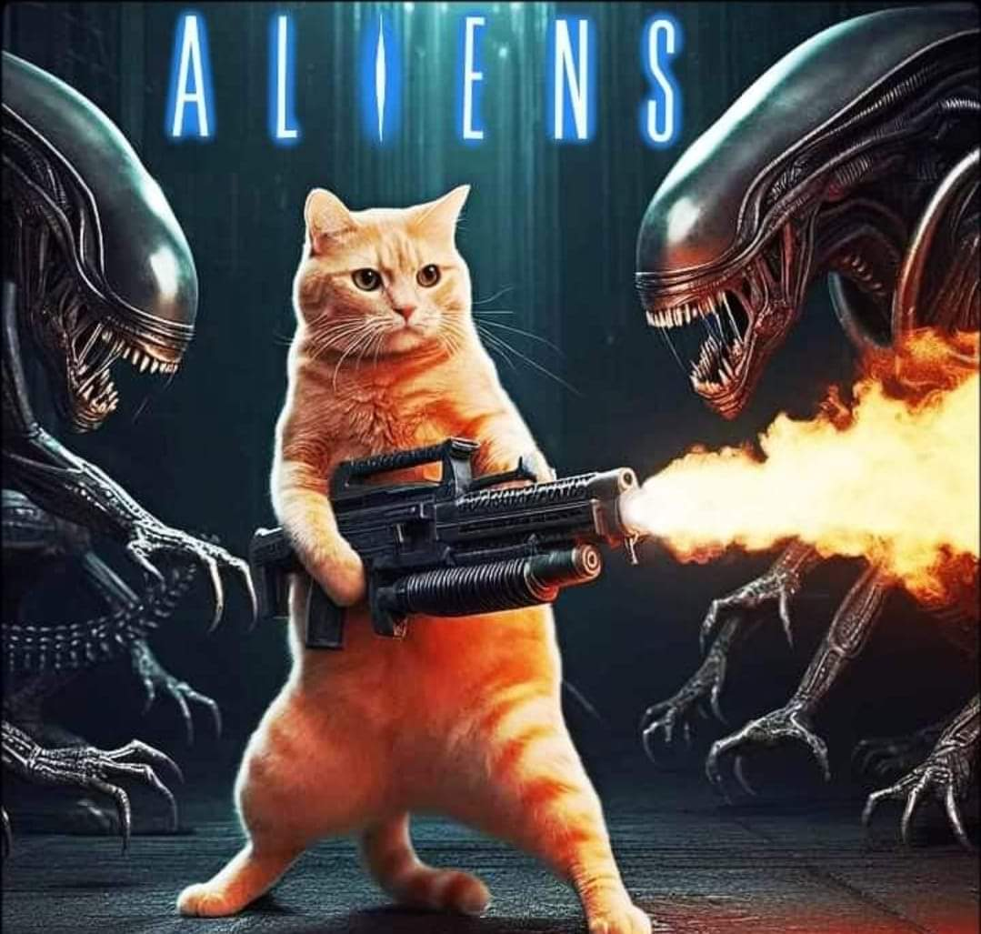 user avatar image for Travis Perry