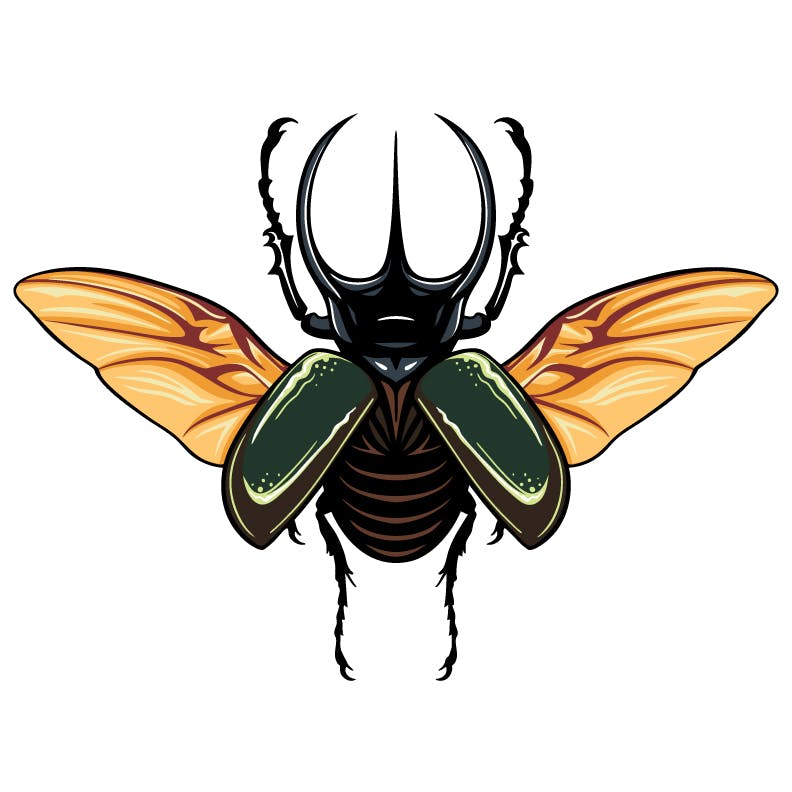 Rhino Beetle 3" XL pin