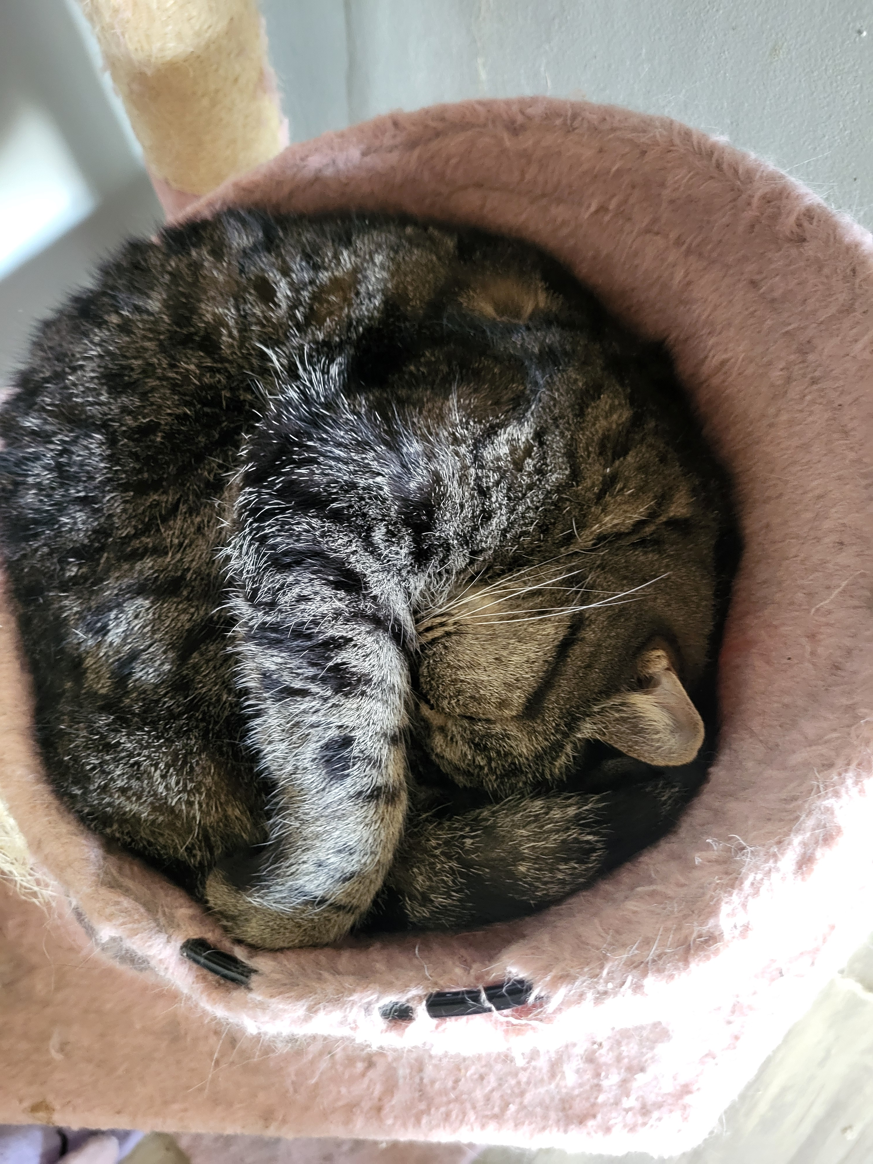 user avatar image for Roxanne Ramirez-Searcy