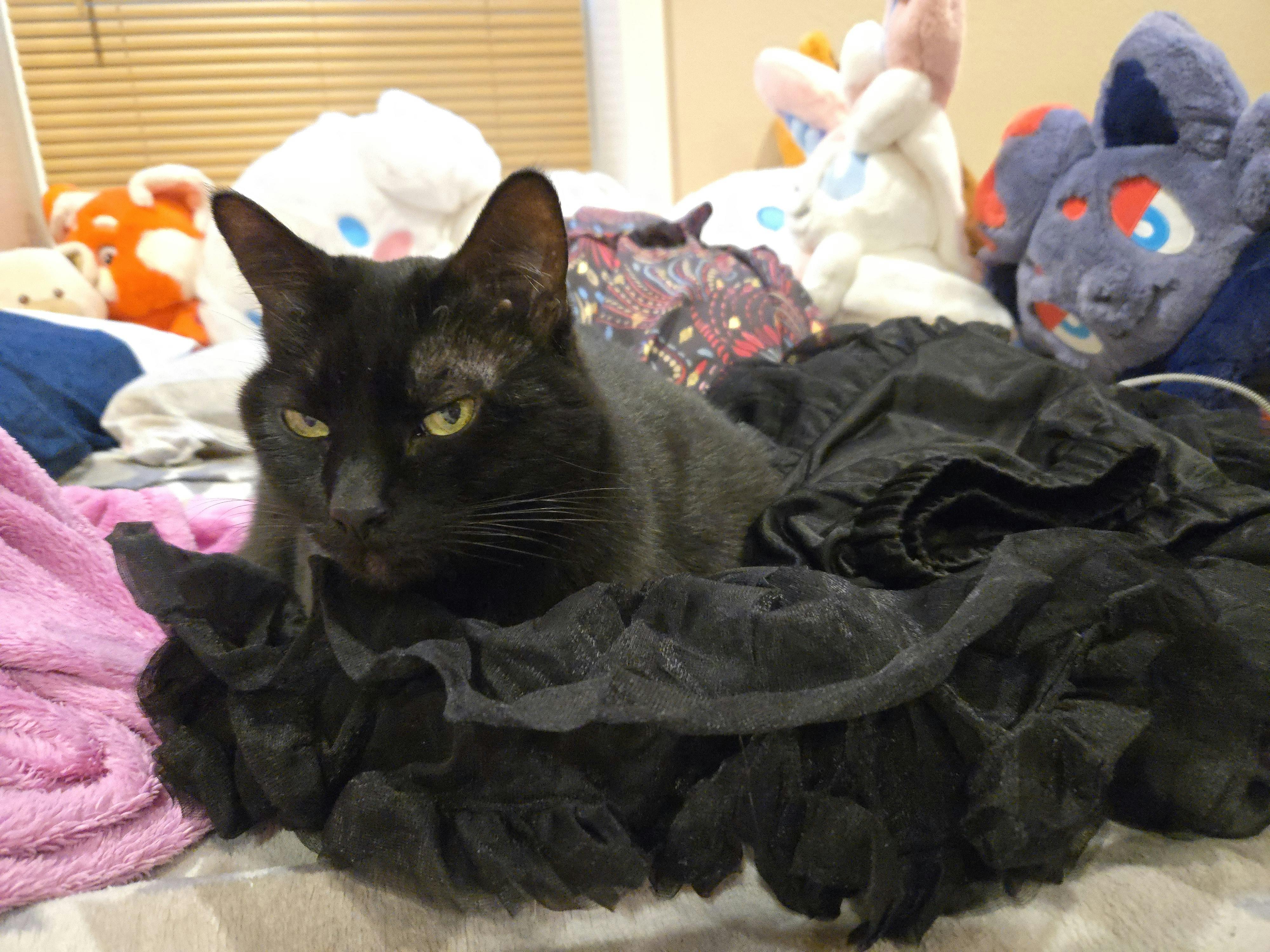 user avatar image for FlouraSh