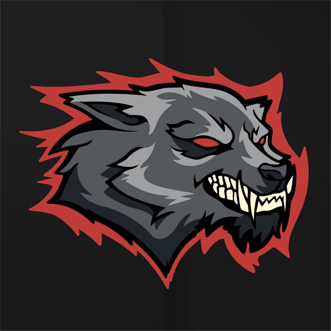 user avatar image for Tmacdec