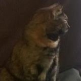 user avatar image for zillah123