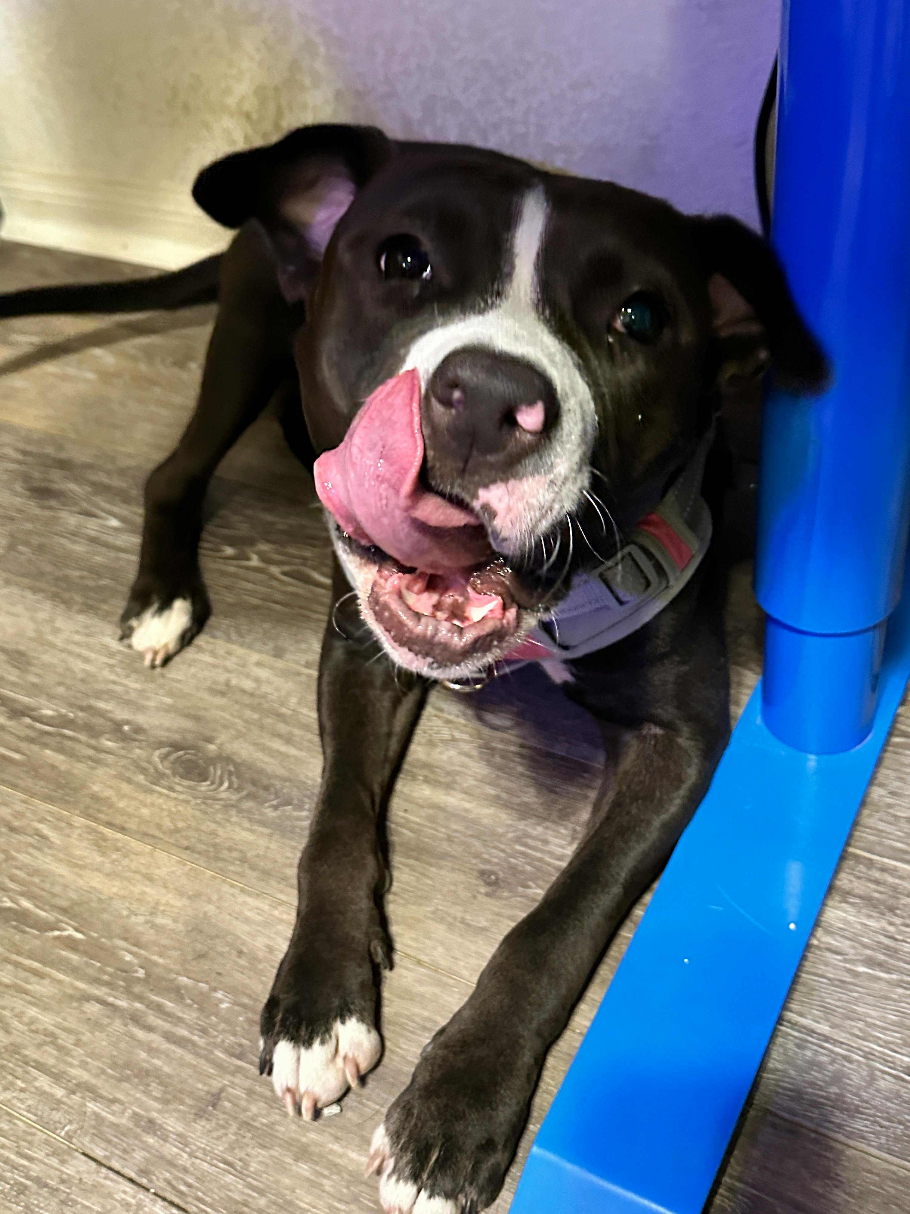 user avatar image for John Fiig Sr.