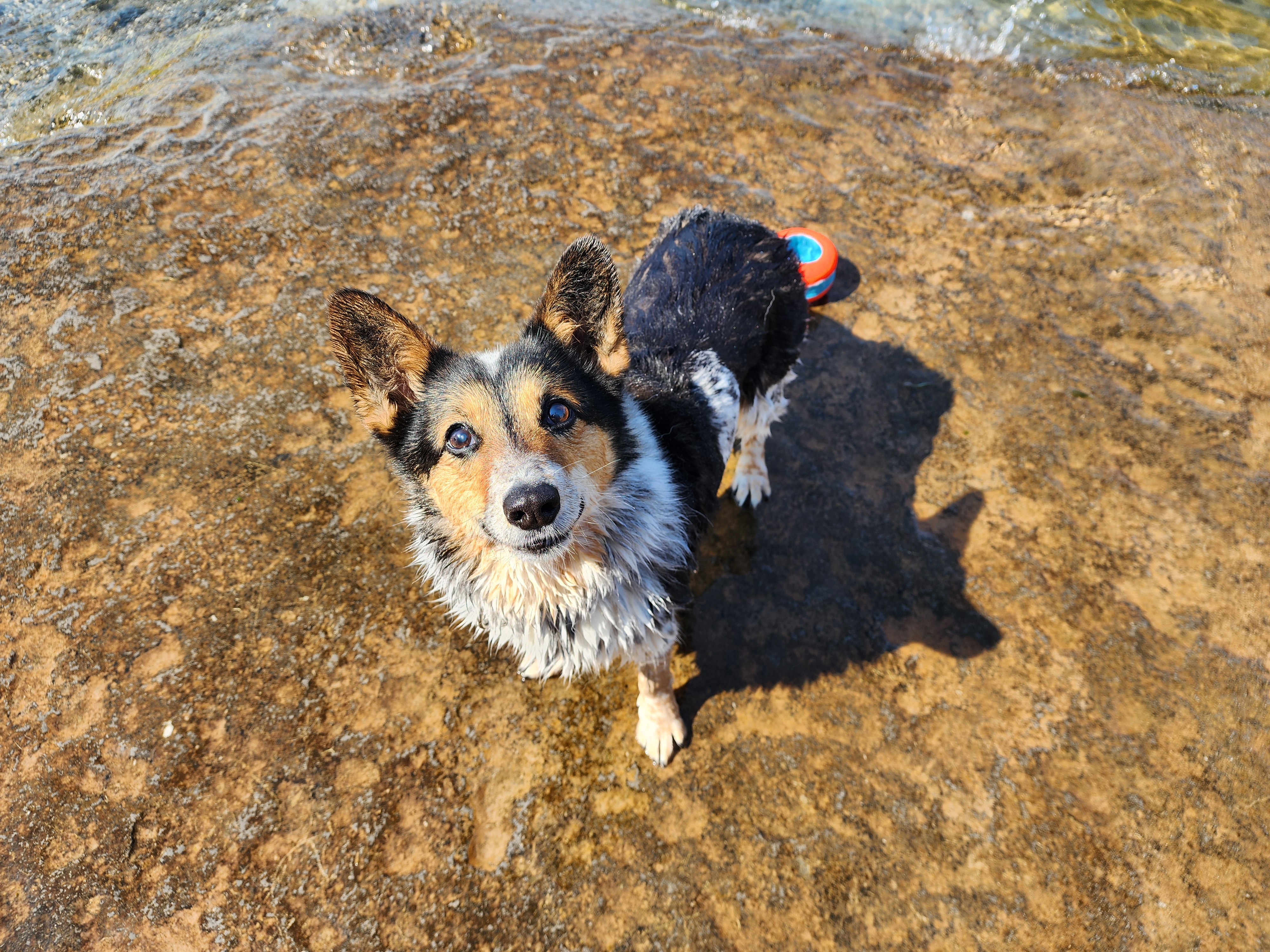 user avatar image for Kris