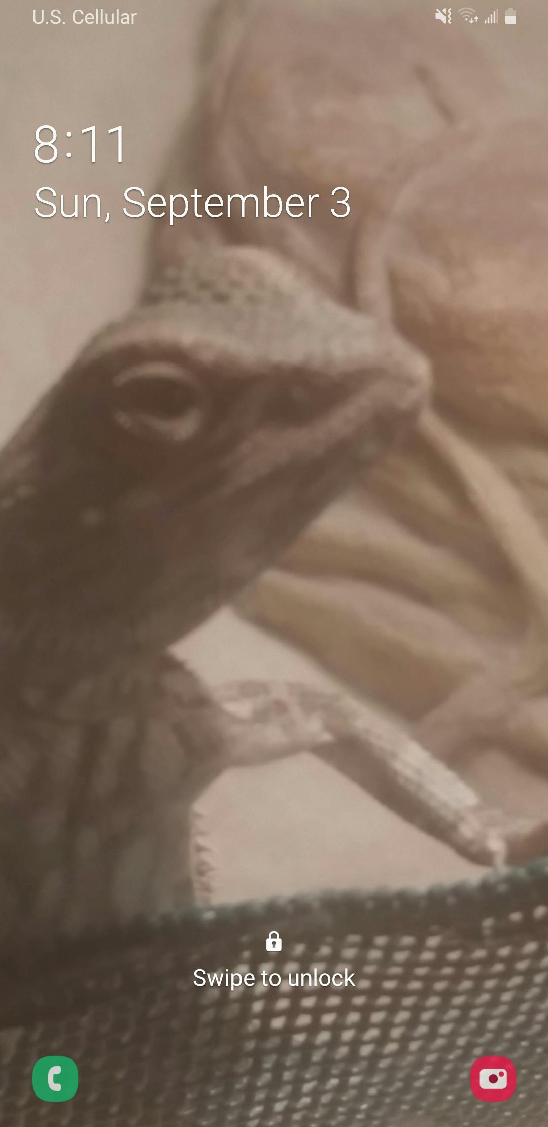 user avatar image for Elijah chism