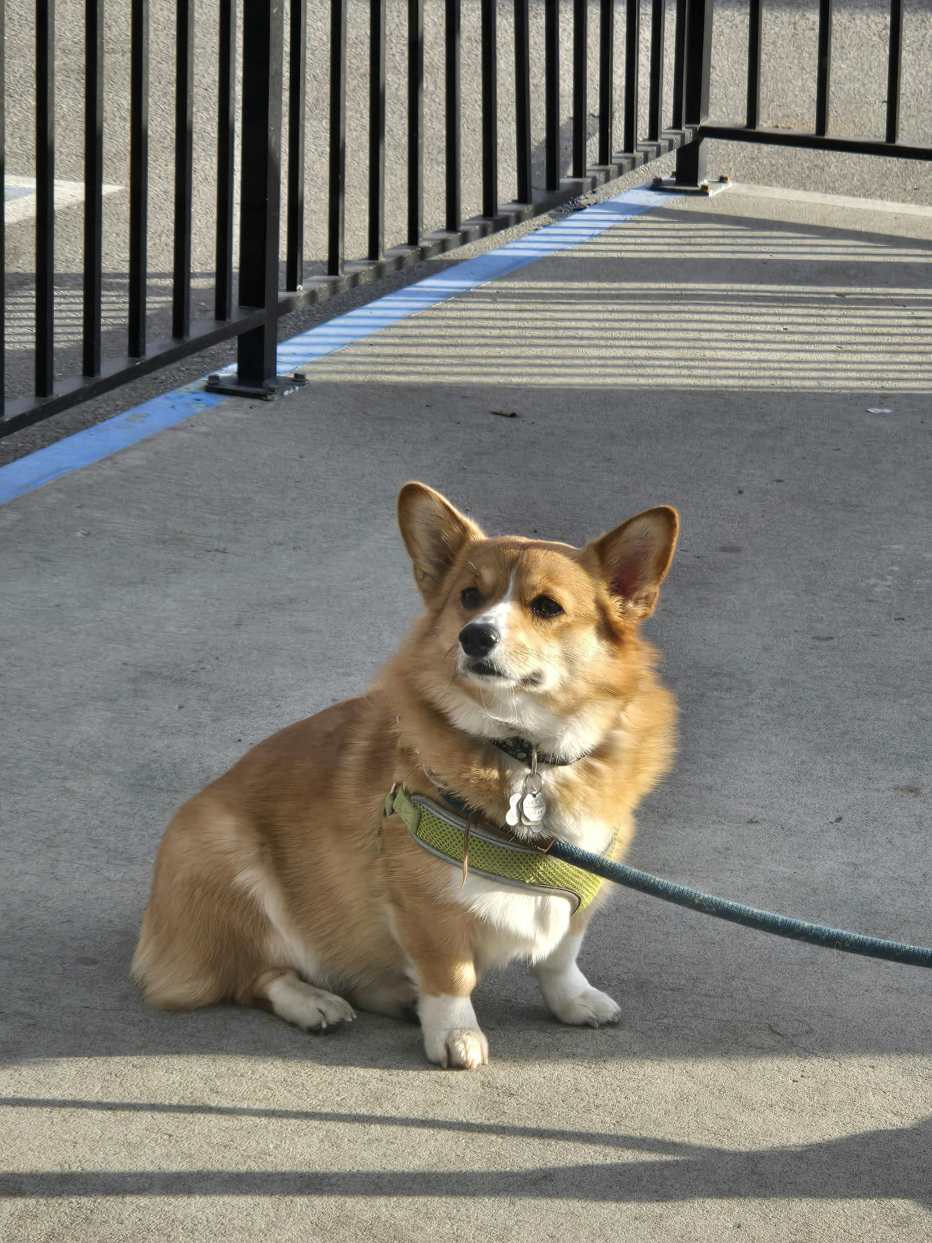 user avatar image for Mossy